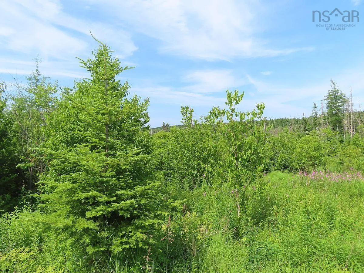 Lot 3 Rear Big Cove Road, Soldiers Cove, NS B0E 3B0, ,Land,For Sale,Rear Big Cove,202517506