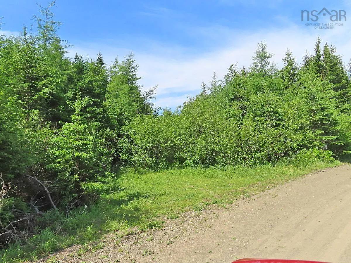 Lot 3 Rear Big Cove Road, Soldiers Cove, NS B0E 3B0, ,Land,For Sale,Rear Big Cove,202517506
