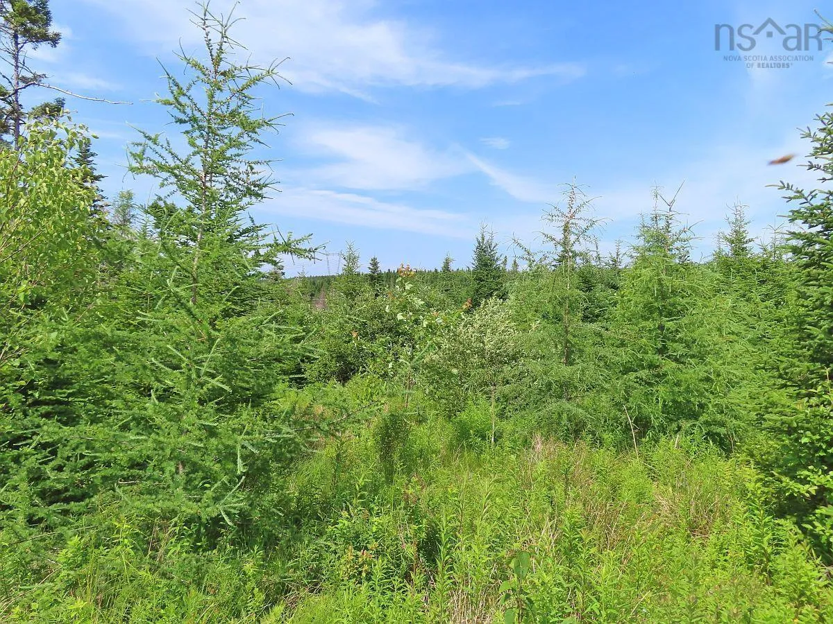 Lot 3 Rear Big Cove Road, Soldiers Cove, NS B0E 3B0, ,Land,For Sale,Rear Big Cove,202517506