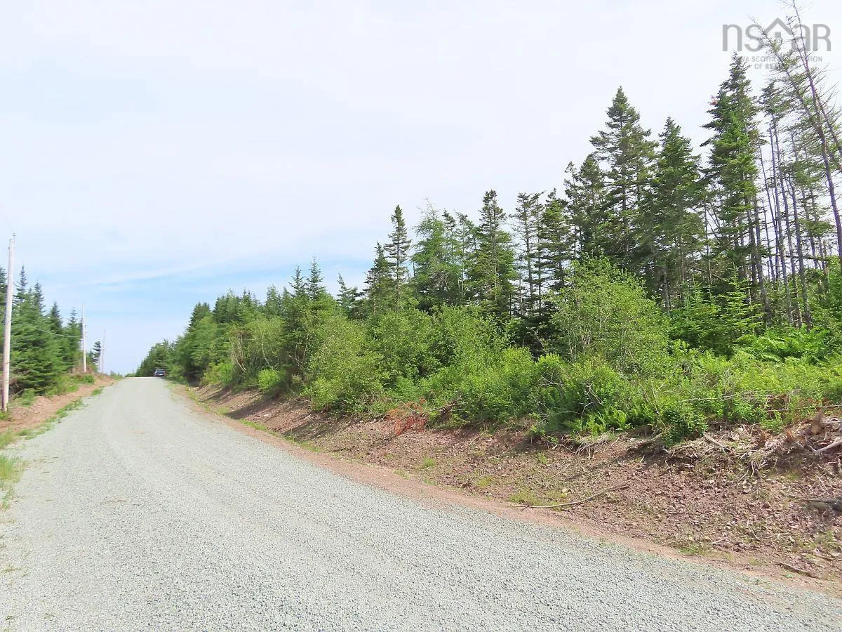 Lot 3 Rear Big Cove Road, Soldiers Cove, NS B0E 3B0, ,Land,For Sale,Rear Big Cove,202517506