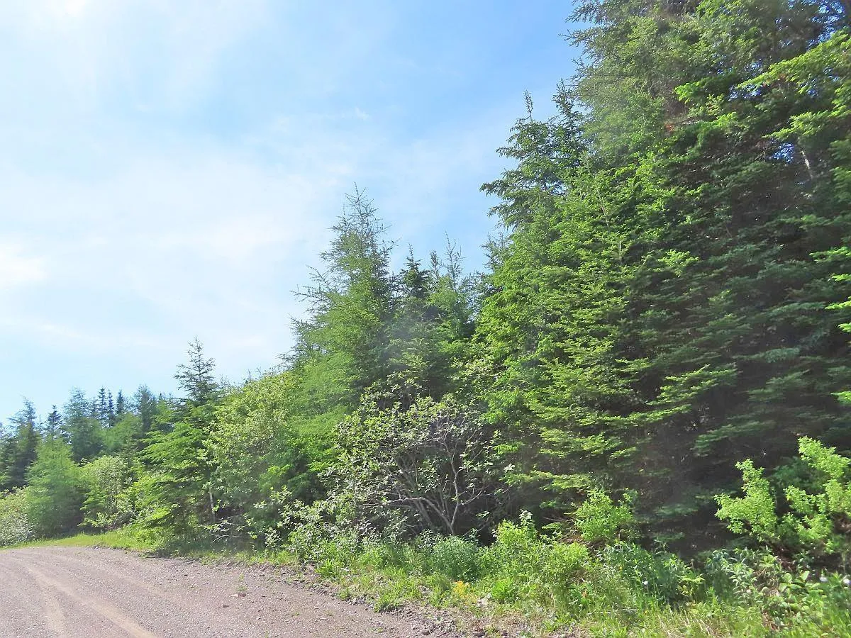 Lot 3 Rear Big Cove Road, Soldiers Cove, NS B0E 3B0, ,Land,For Sale,Rear Big Cove,202517506