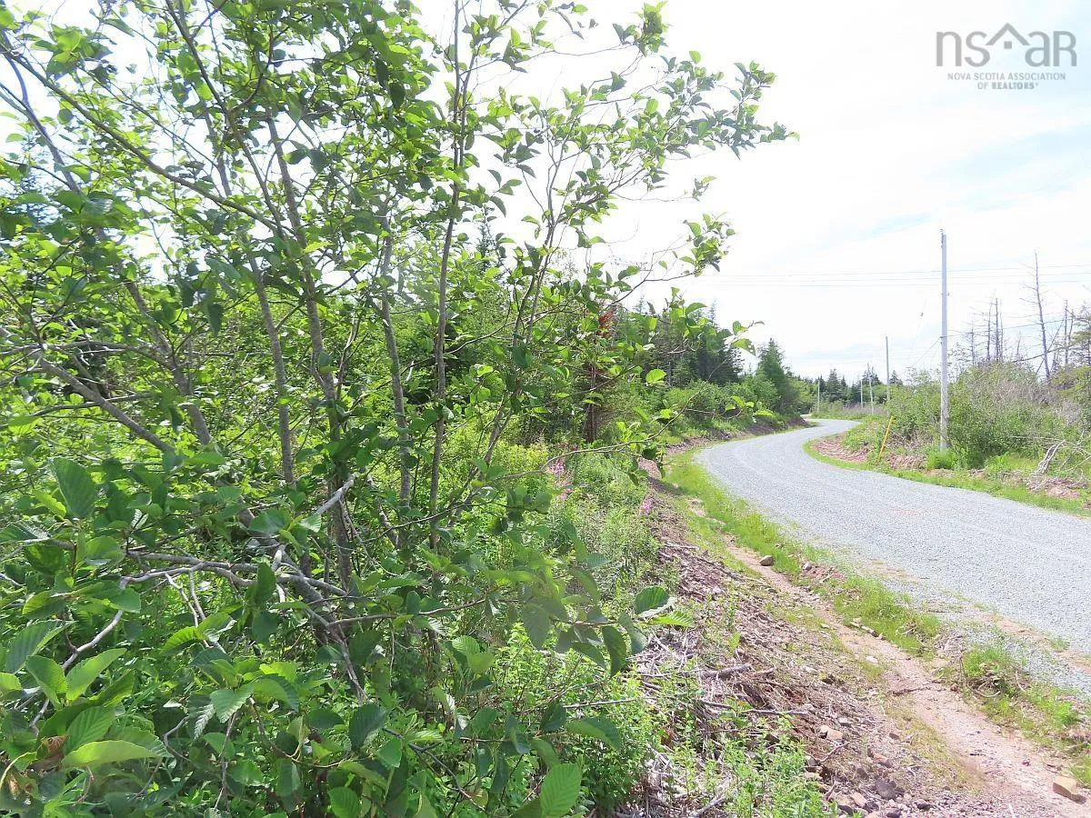 Lot 3 Rear Big Cove Road, Soldiers Cove, NS B0E 3B0, ,Land,For Sale,Rear Big Cove,202517506