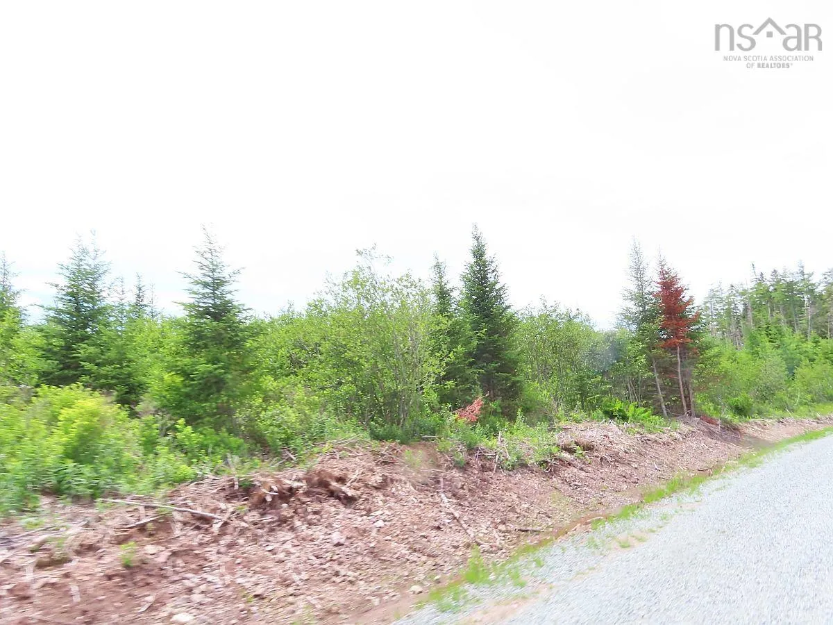 Lot 3 Rear Big Cove Road, Soldiers Cove, NS B0E 3B0, ,Land,For Sale,Rear Big Cove,202517506