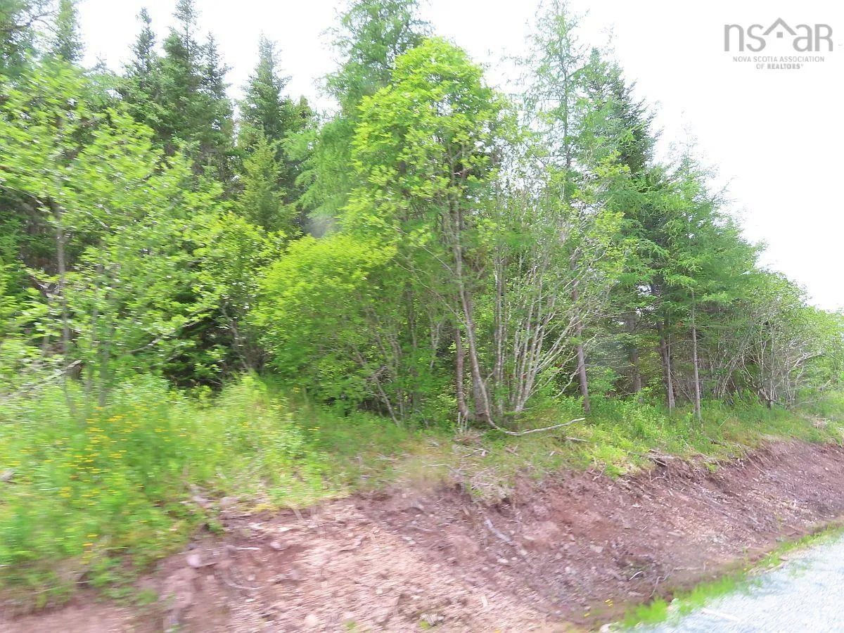 Lot 3 Rear Big Cove Road, Soldiers Cove, NS B0E 3B0, ,Land,For Sale,Rear Big Cove,202517506