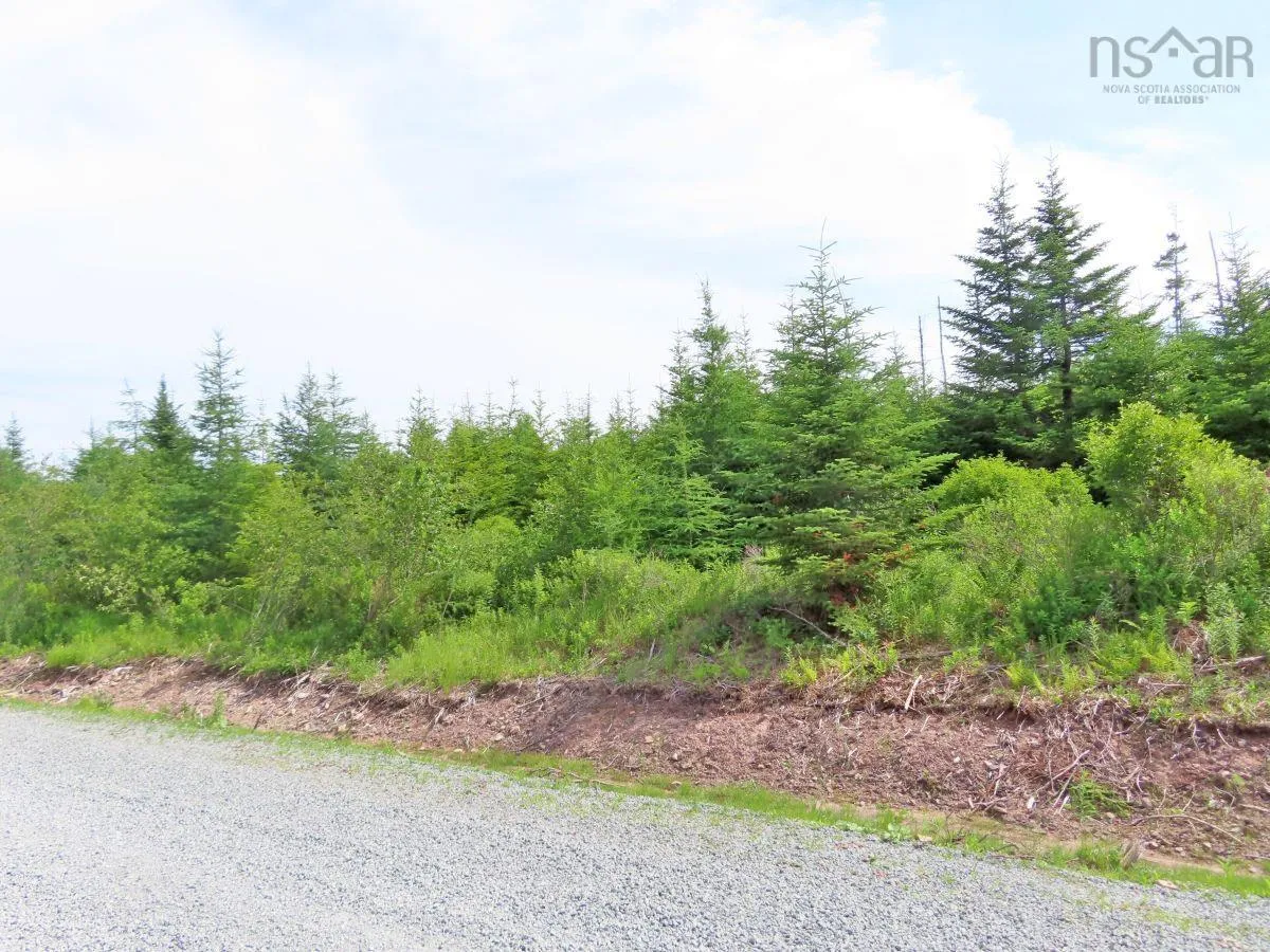 Lot 3 Rear Big Cove Road, Soldiers Cove, NS B0E 3B0, ,Land,For Sale,Rear Big Cove,202517506