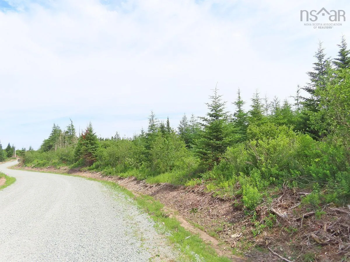 Lot 3 Rear Big Cove Road, Soldiers Cove, NS B0E 3B0, ,Land,For Sale,Rear Big Cove,202517506