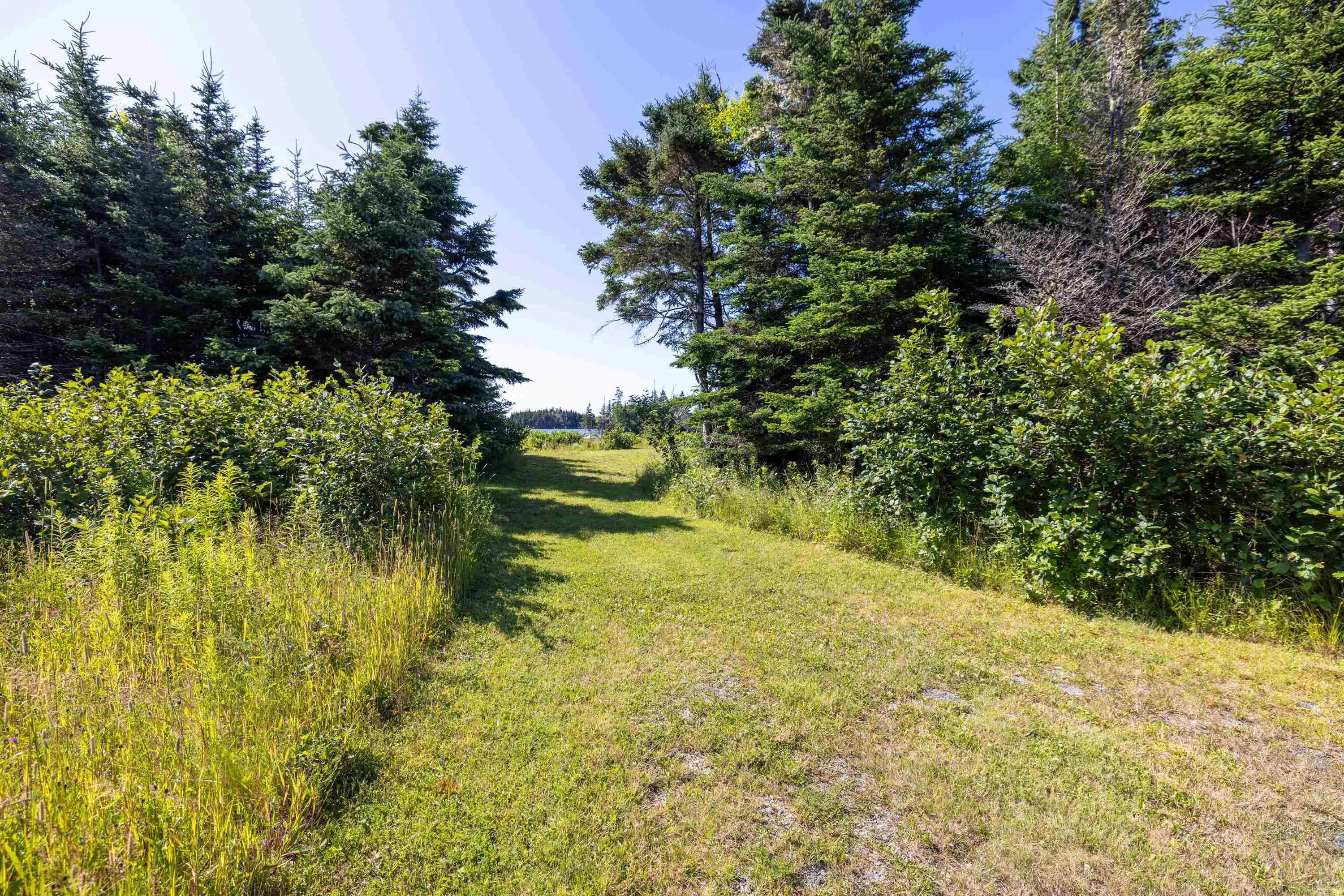 1916 Ostrea Lake Road, Ostrea Lake, NS B0J 2L0, 3 Bedrooms Bedrooms, ,1 BathroomBathrooms,Residential,For Sale,Ostrea Lake,202519009
