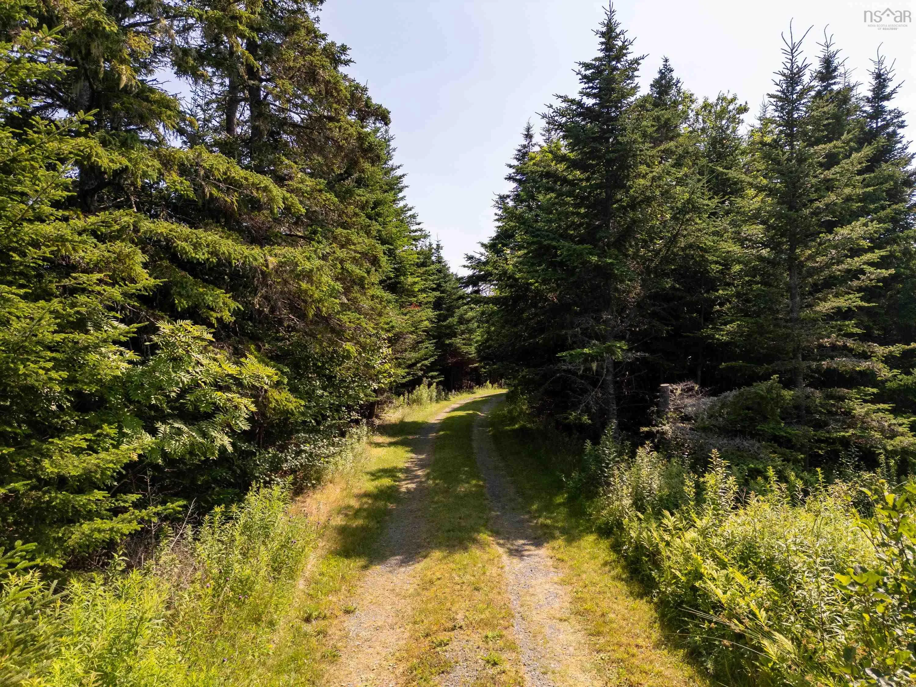 1916 Ostrea Lake Road, Ostrea Lake, NS B0J 2L0, 3 Bedrooms Bedrooms, ,1 BathroomBathrooms,Residential,For Sale,Ostrea Lake,202519009