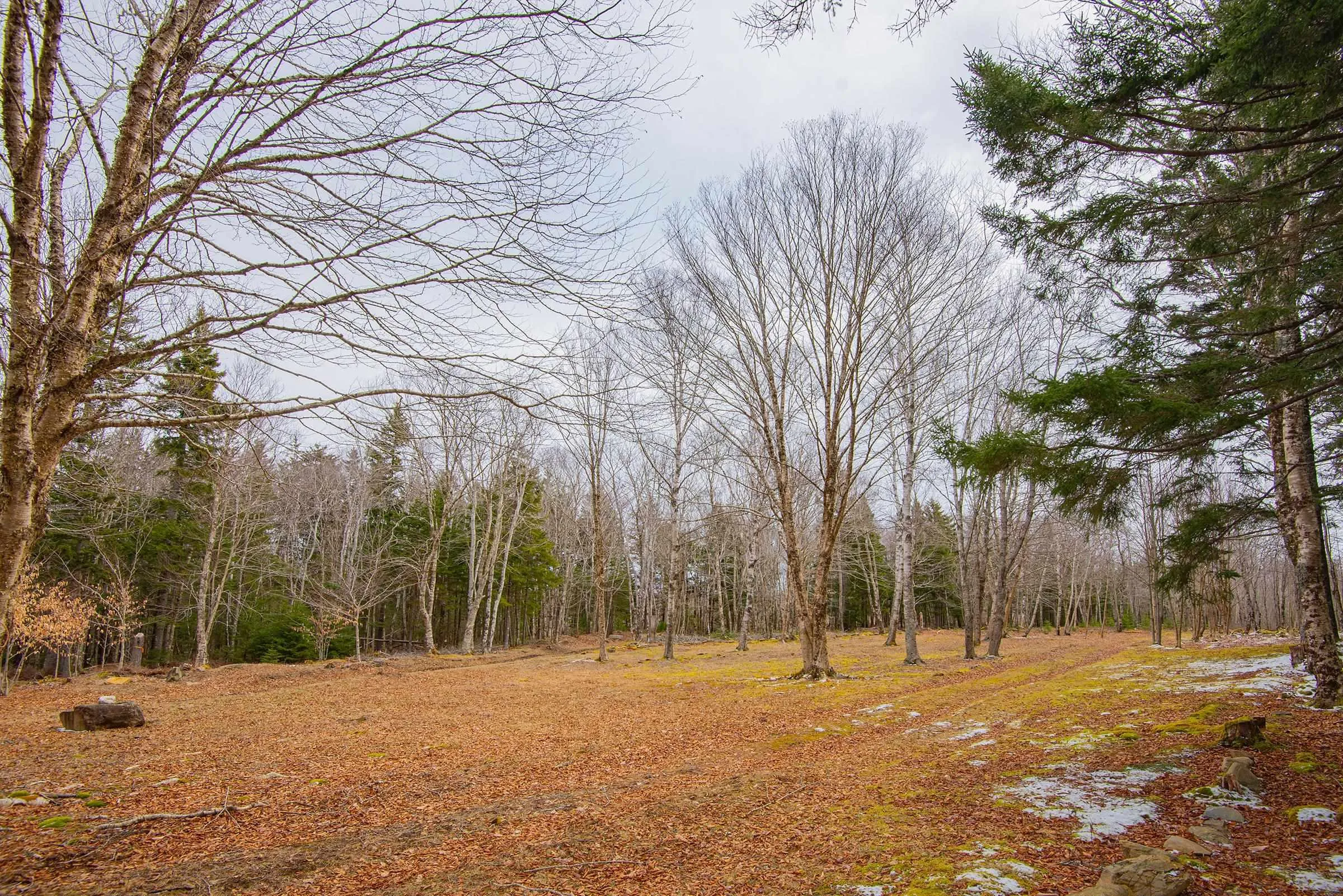 Peter Leblanc Road, Meteghan Ns B0w 2j0, ,Land,For Sale,Peter Leblanc,202506783