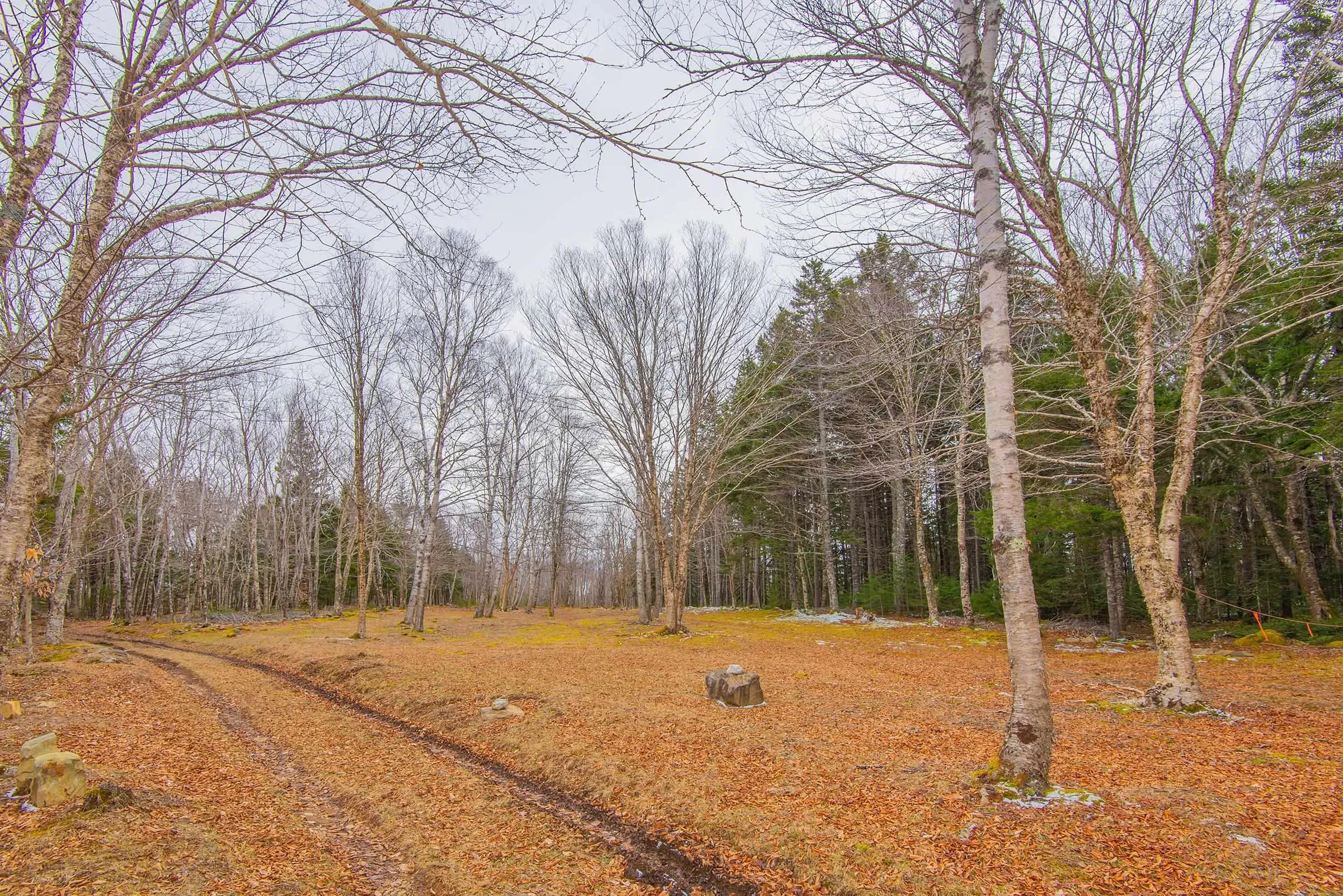 Peter Leblanc Road, Meteghan Ns B0w 2j0, ,Land,For Sale,Peter Leblanc,202506783