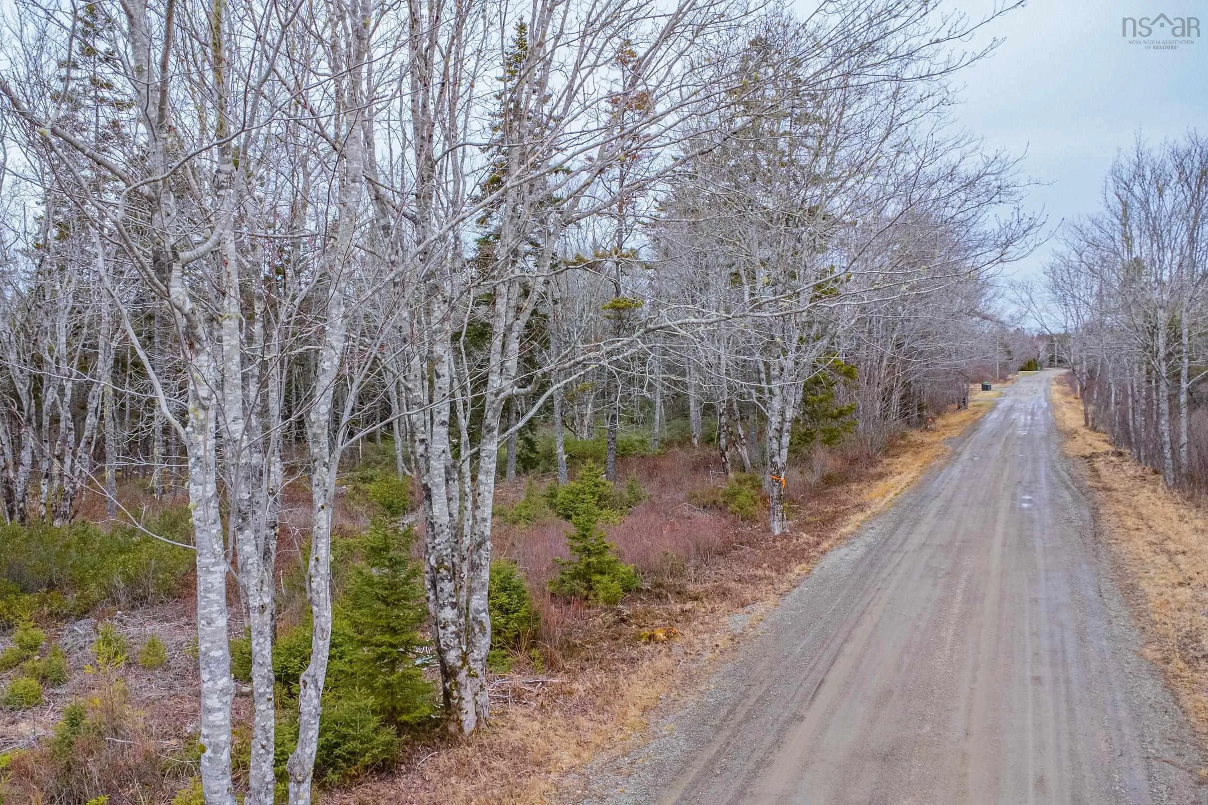 Peter Leblanc Road, Meteghan Ns B0w 2j0, ,Land,For Sale,Peter Leblanc,202506783