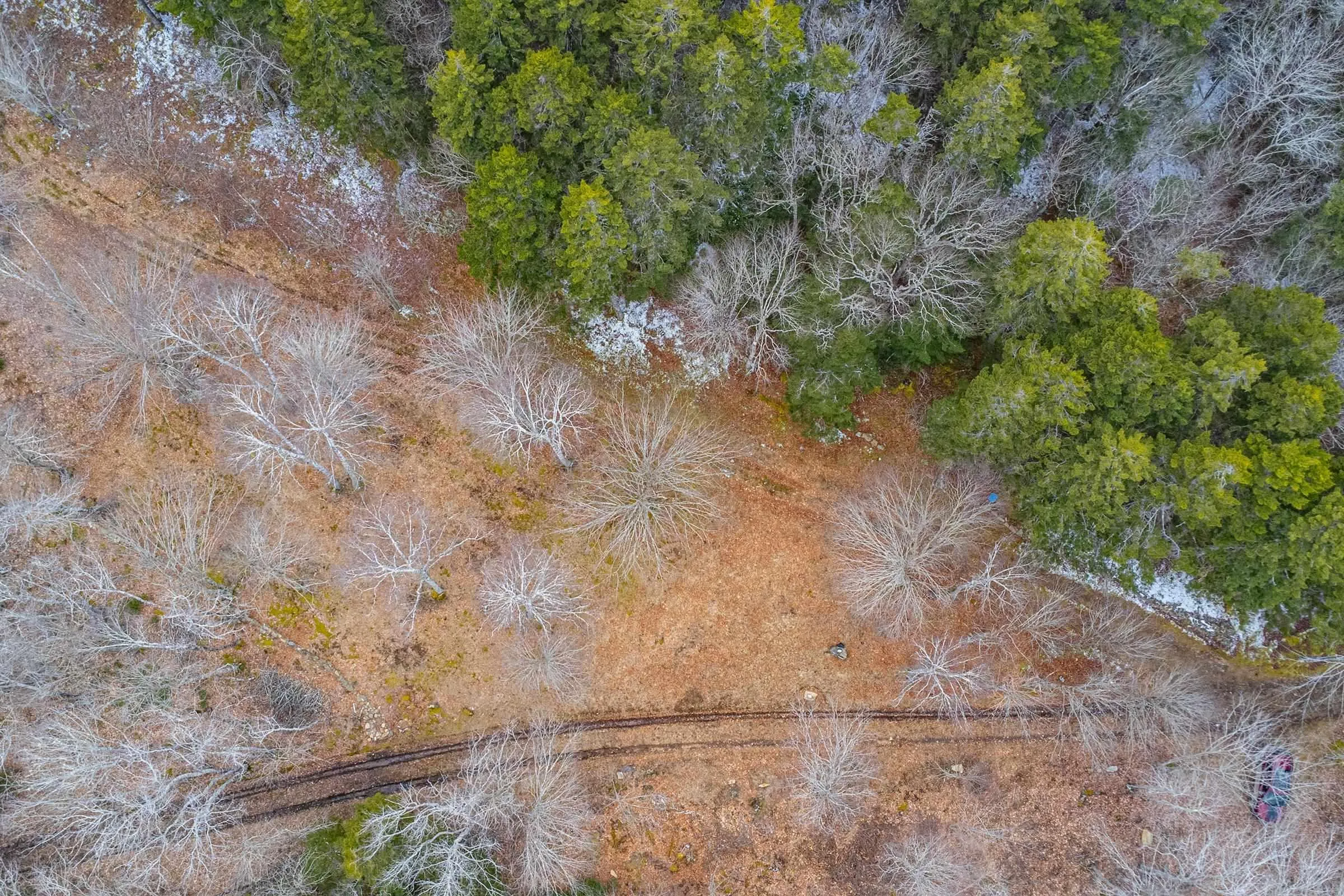 Peter Leblanc Road, Meteghan Ns B0w 2j0, ,Land,For Sale,Peter Leblanc,202506783