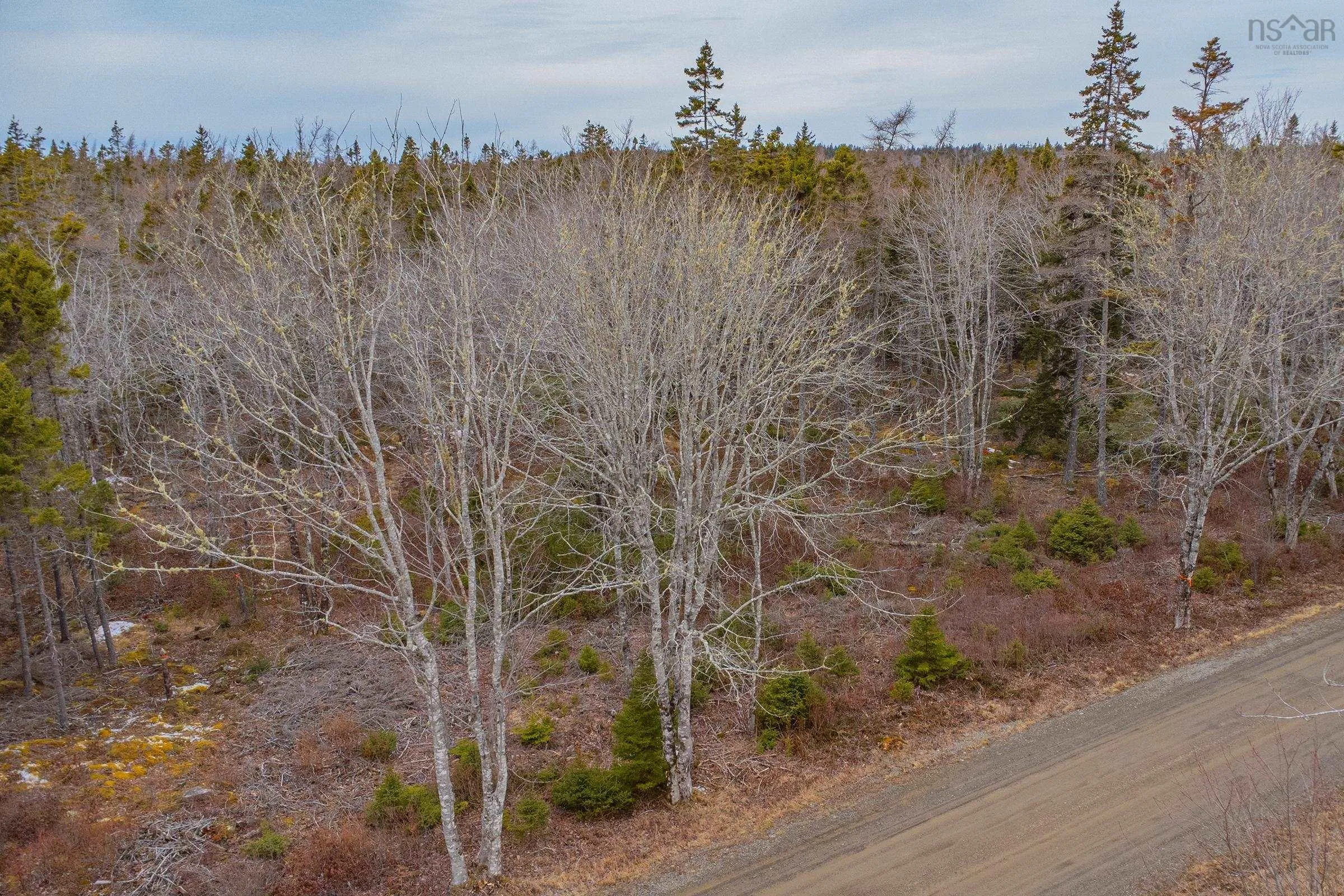 Peter Leblanc Road, Meteghan Ns B0w 2j0, ,Land,For Sale,Peter Leblanc,202506783