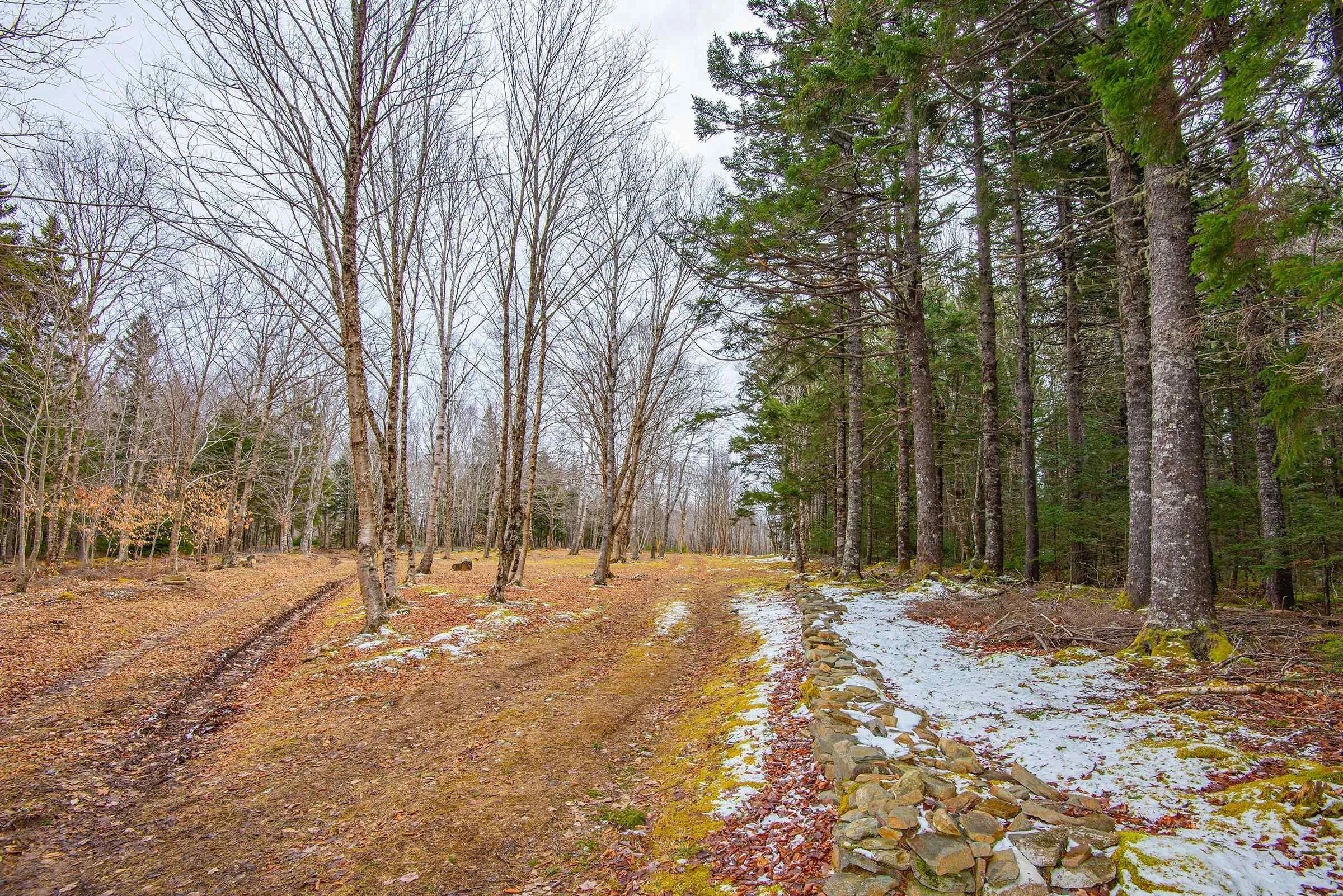Peter Leblanc Road, Meteghan Ns B0w 2j0, ,Land,For Sale,Peter Leblanc,202506783