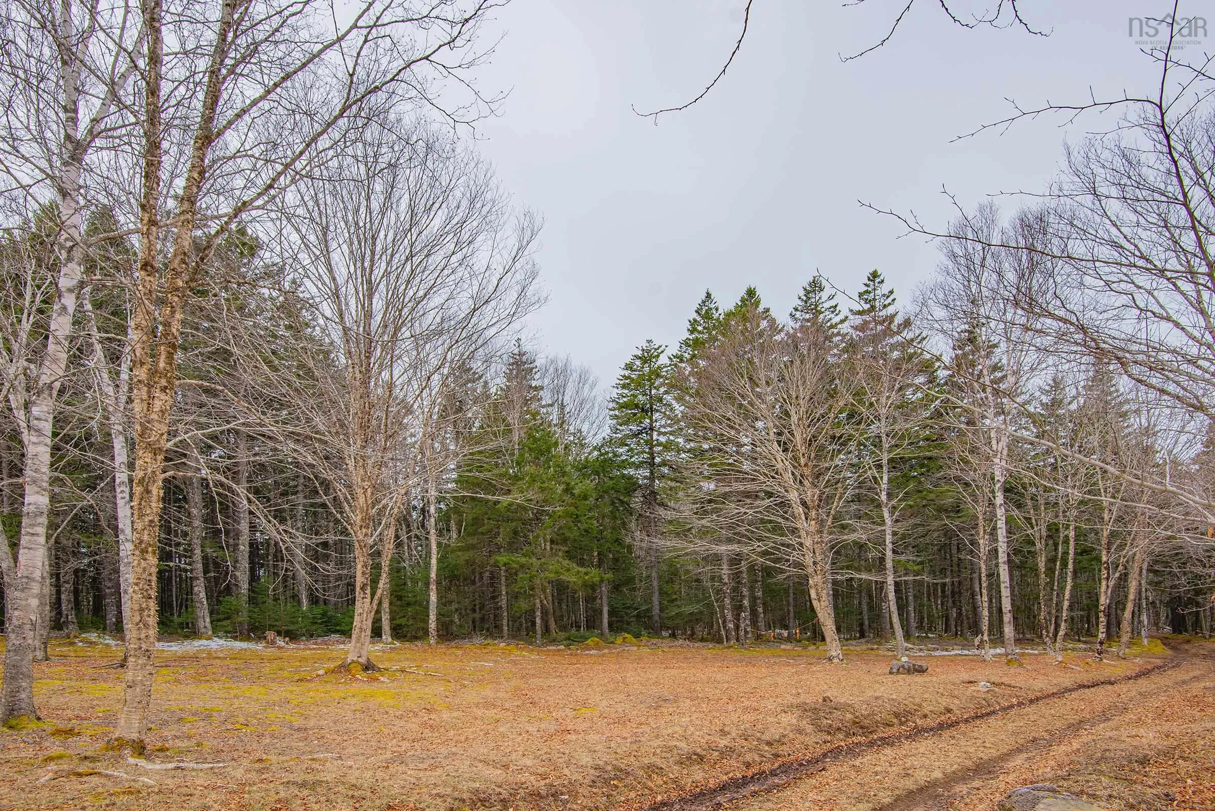 Peter Leblanc Road, Meteghan Ns B0w 2j0, ,Land,For Sale,Peter Leblanc,202506783