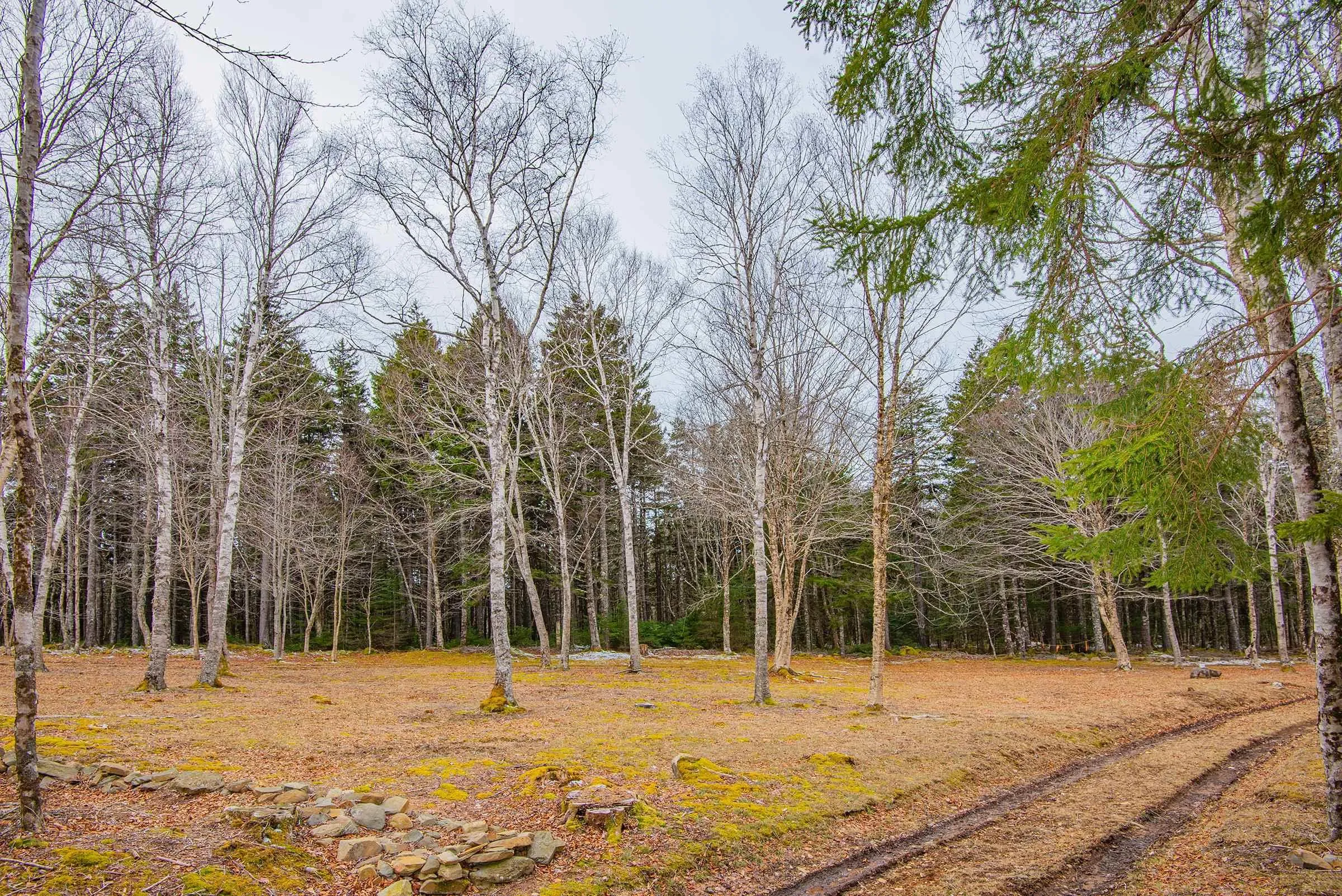 Peter Leblanc Road, Meteghan Ns B0w 2j0, ,Land,For Sale,Peter Leblanc,202506783