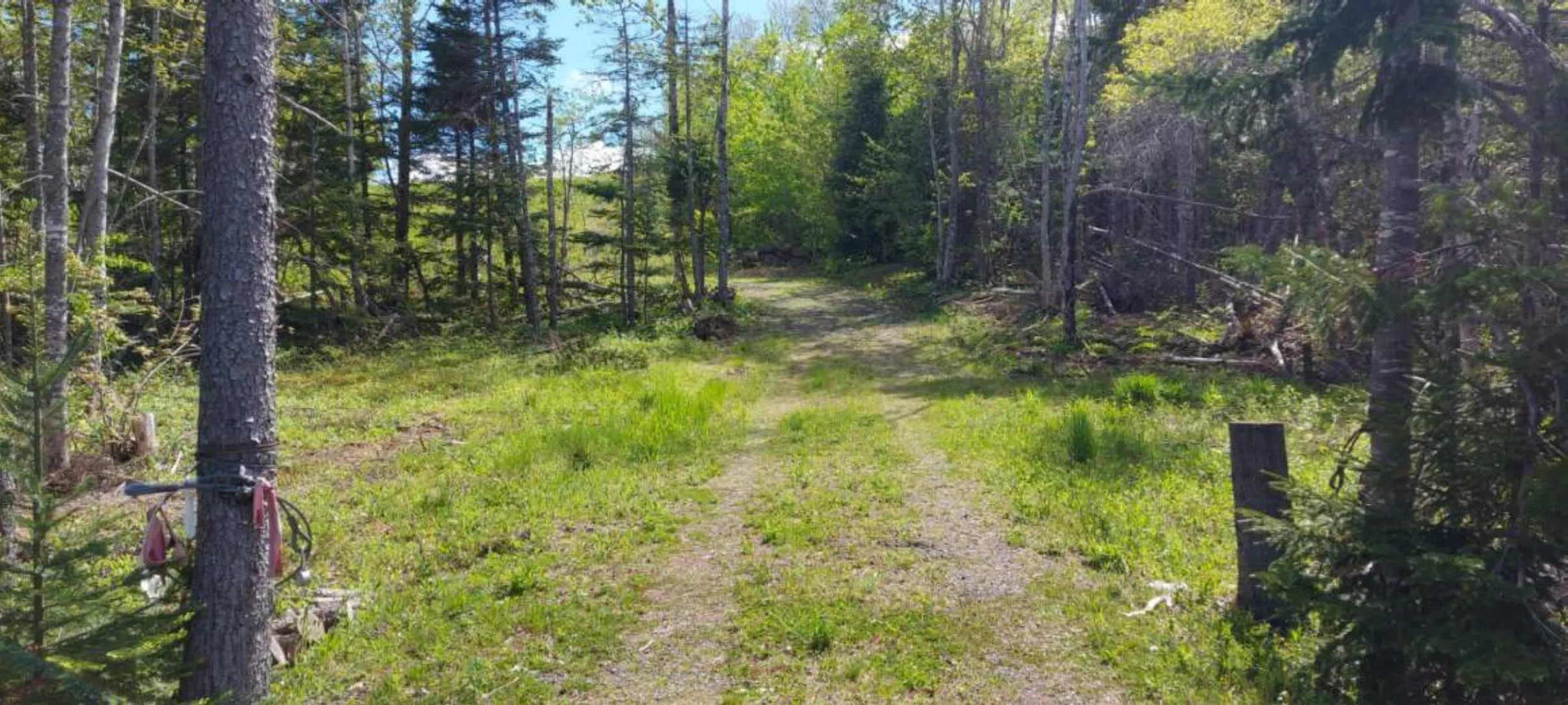 Highway 4 Lot 3a, French River Ns B0k 1v0, ,Land,For Sale,Highway 4,202411857