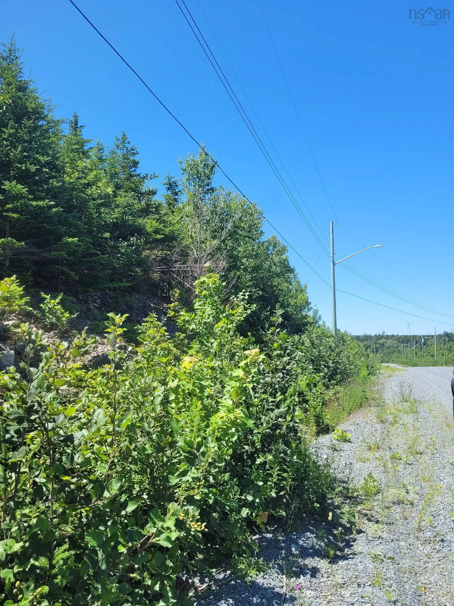 WS-4 Westside Inlet Drive, West Petpeswick NS B0J 2L0, ,Land,For Sale,Westside Inlet,202307427