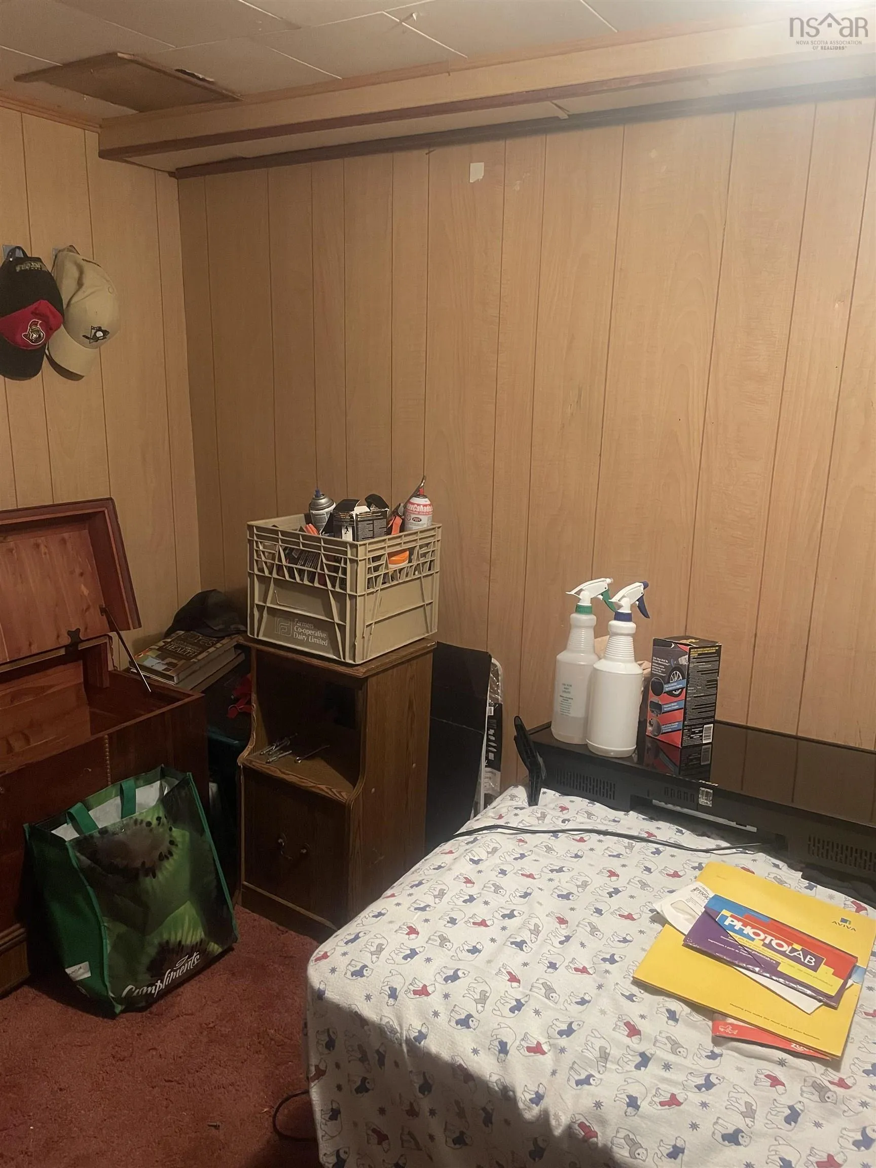 60 Red Schoolhouse Lane, North East Point, NS B0W 2P0, 3 Bedrooms Bedrooms, ,1 BathroomBathrooms,Residential,For Sale,Red Schoolhouse,202518042