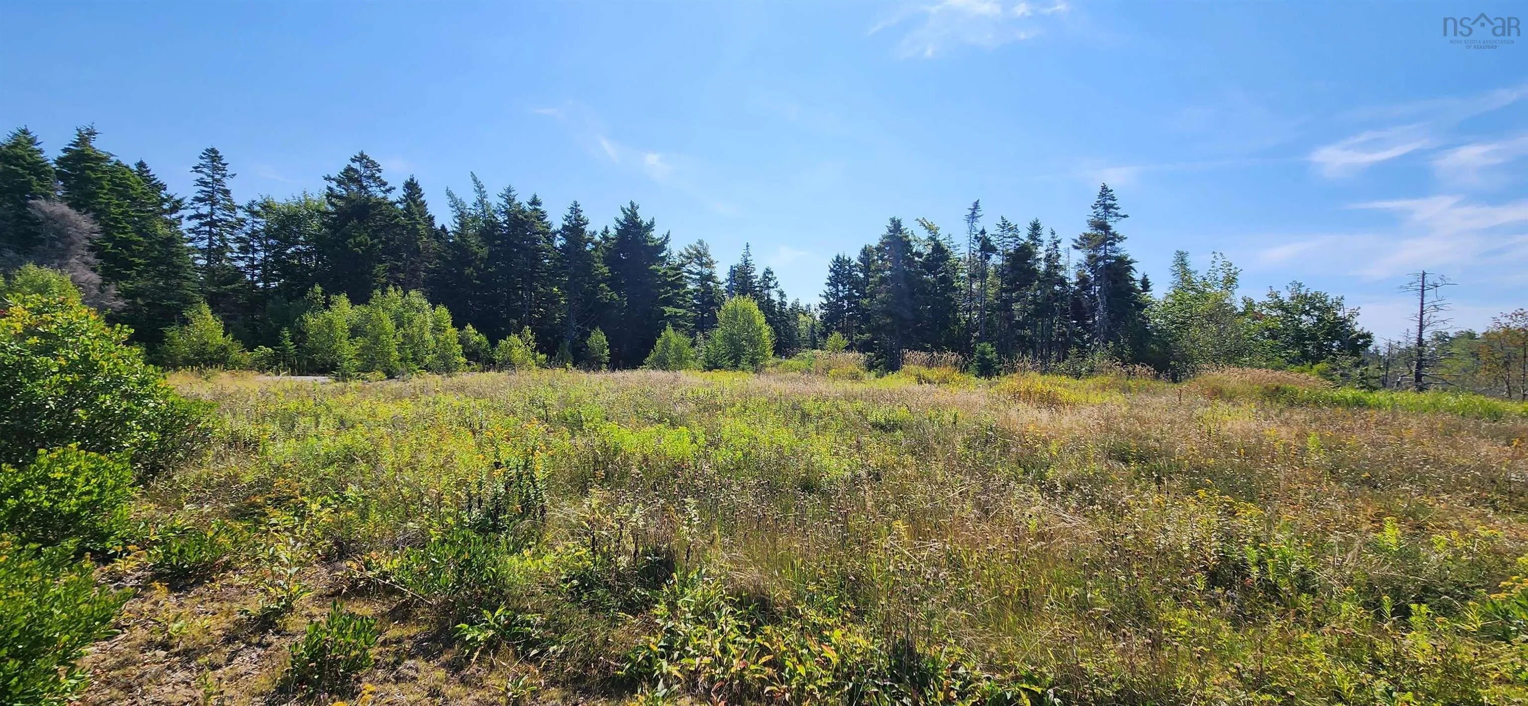 Lot 1 Feltzen South Road, Bayport, NS B0J 2X0, ,Land,For Sale,Feltzen South,202522487