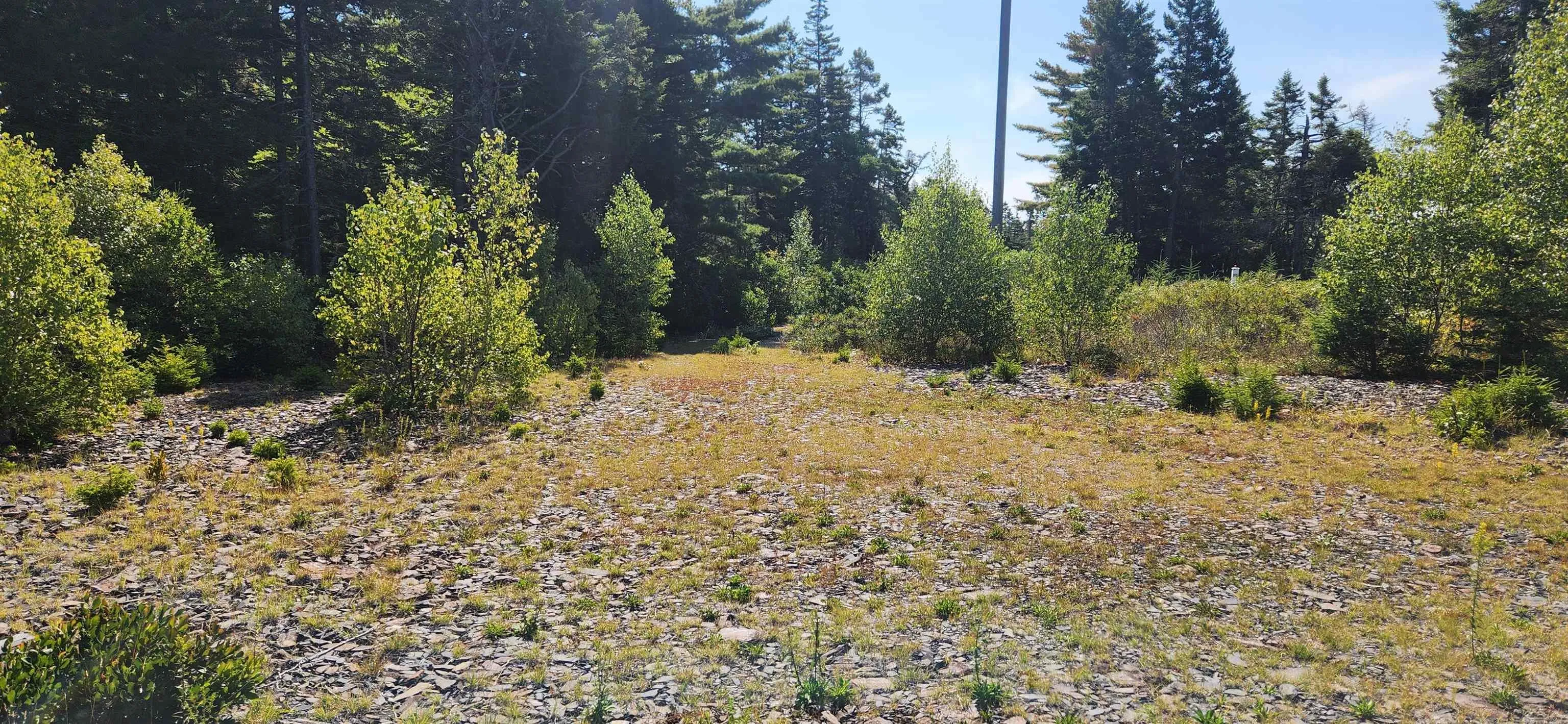 Lot 1 Feltzen South Road, Bayport, NS B0J 2X0, ,Land,For Sale,Feltzen South,202522487