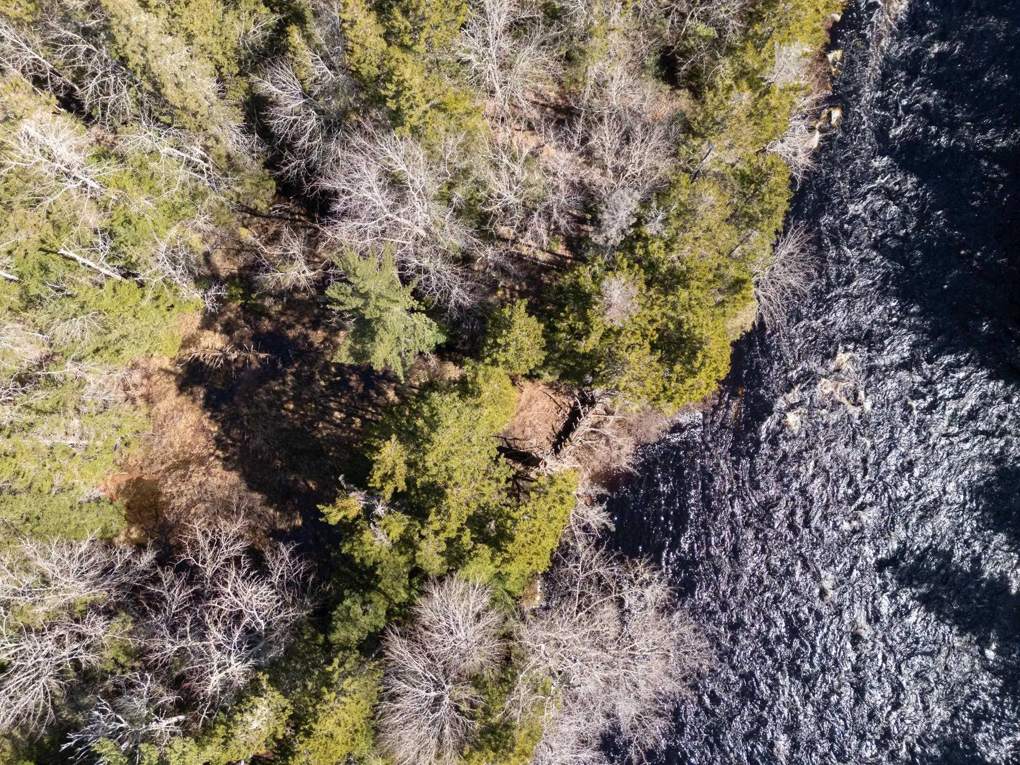 Boutilier Branch Road Lot 17, Kemptville Ns B5a 5p3, ,Land,For Sale,Boutilier Branch,202407882