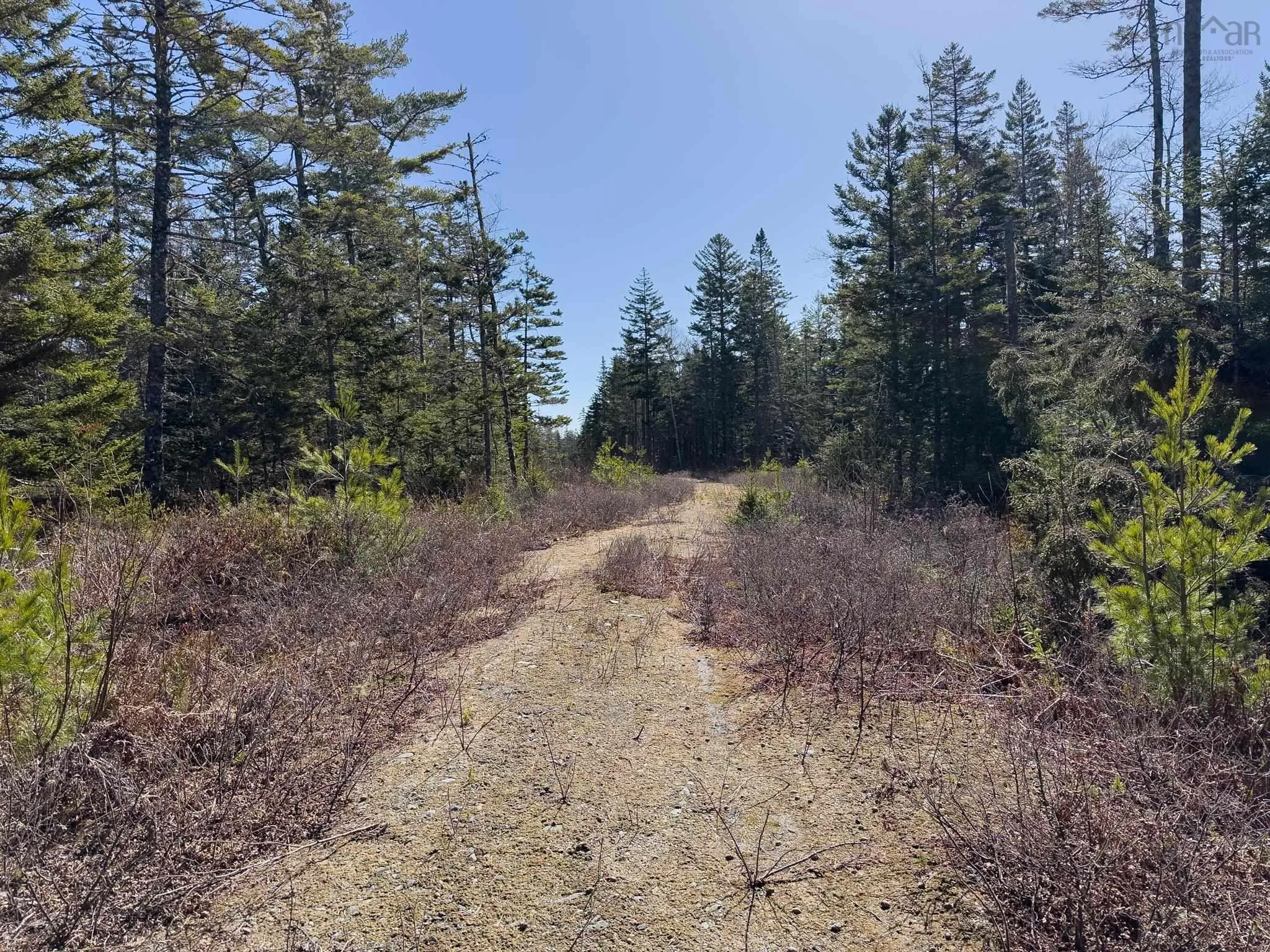 Boutilier Branch Road Lot 17, Kemptville Ns B5a 5p3, ,Land,For Sale,Boutilier Branch,202407882