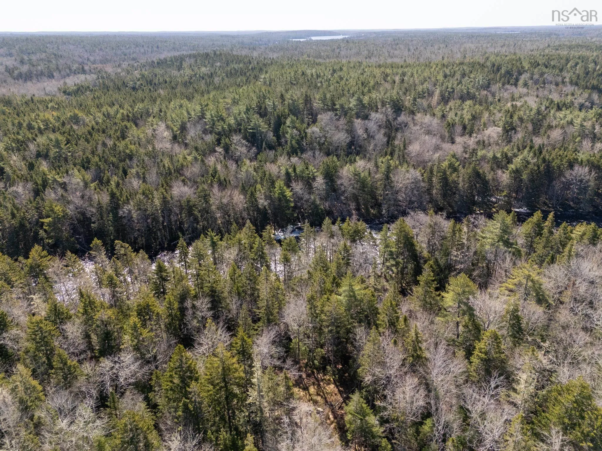Boutilier Branch Road Lot 17, Kemptville Ns B5a 5p3, ,Land,For Sale,Boutilier Branch,202407882