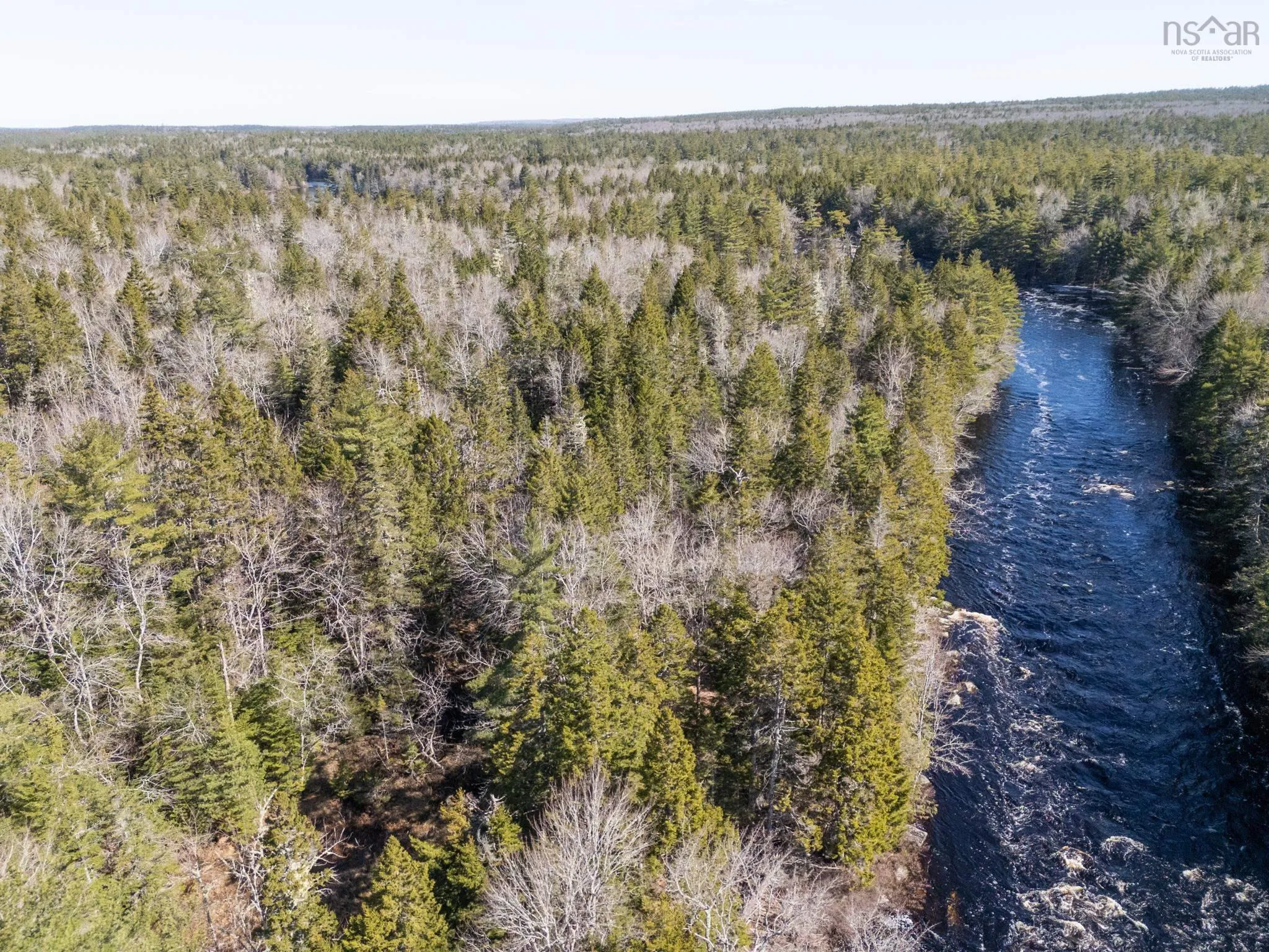 Boutilier Branch Road Lot 17, Kemptville Ns B5a 5p3, ,Land,For Sale,Boutilier Branch,202407882