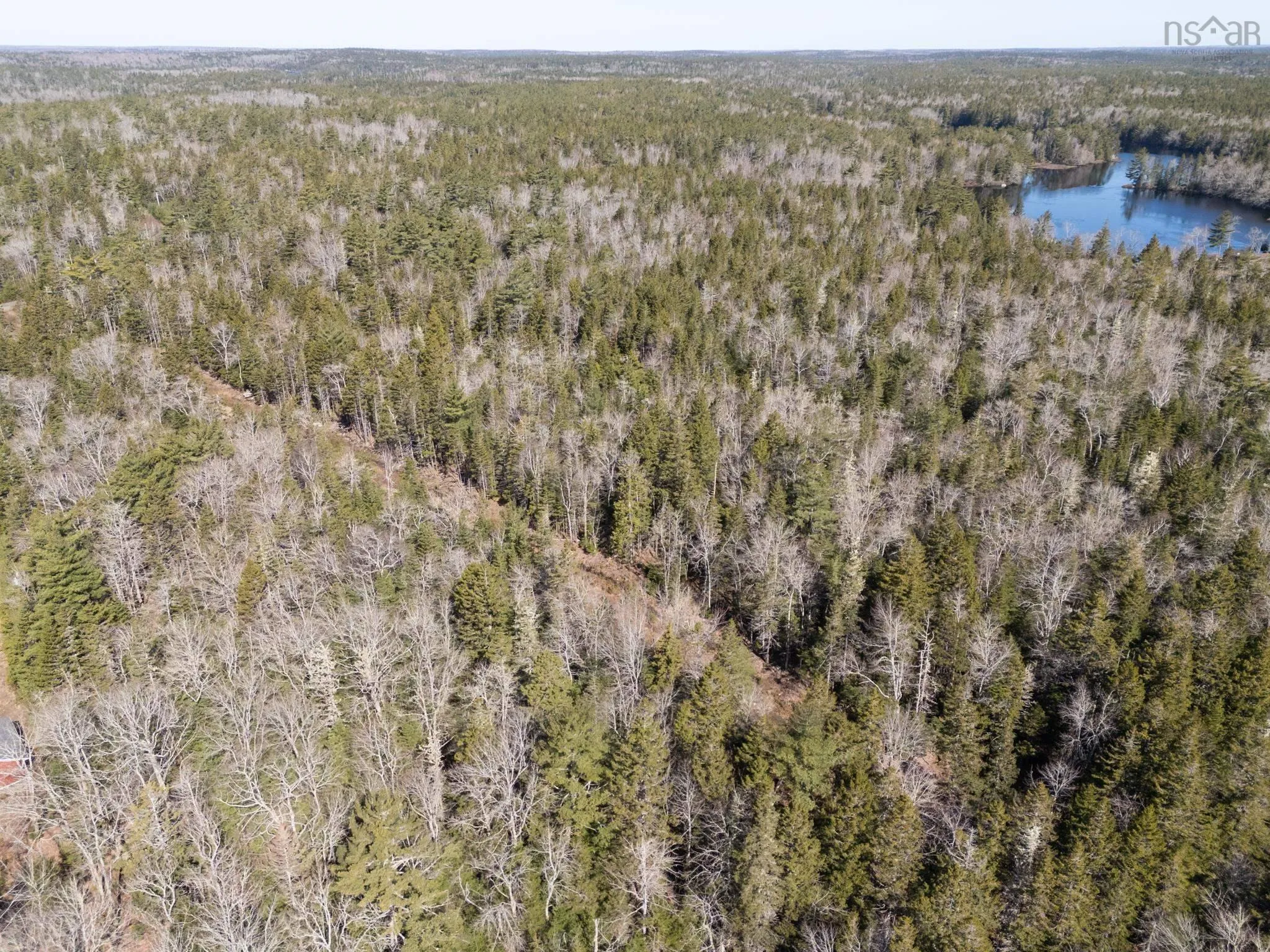 Boutilier Branch Road Lot 17, Kemptville Ns B5a 5p3, ,Land,For Sale,Boutilier Branch,202407882