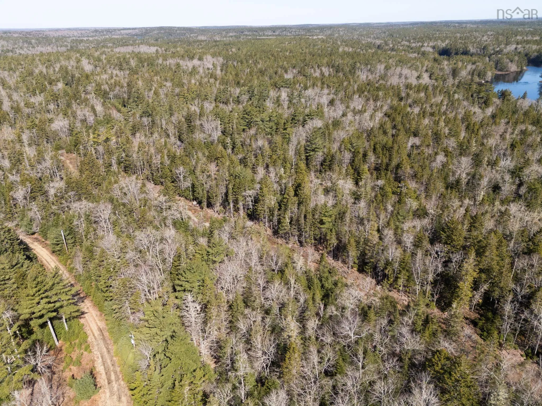 Boutilier Branch Road Lot 17, Kemptville Ns B5a 5p3, ,Land,For Sale,Boutilier Branch,202407882