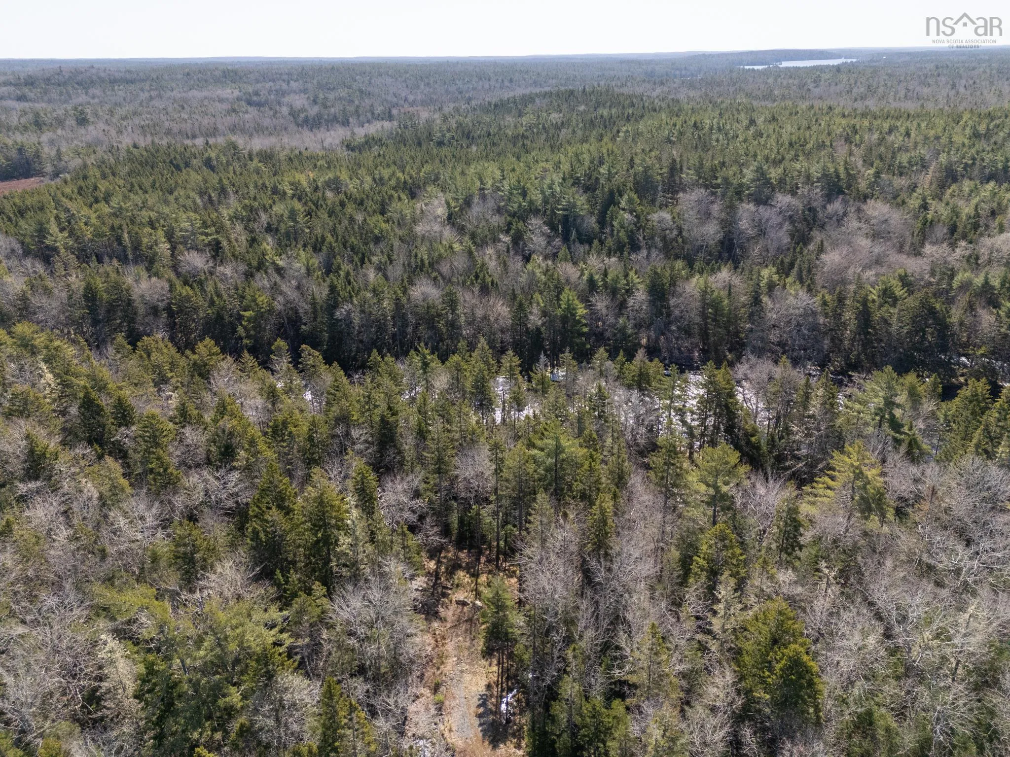 Boutilier Branch Road Lot 17, Kemptville Ns B5a 5p3, ,Land,For Sale,Boutilier Branch,202407882