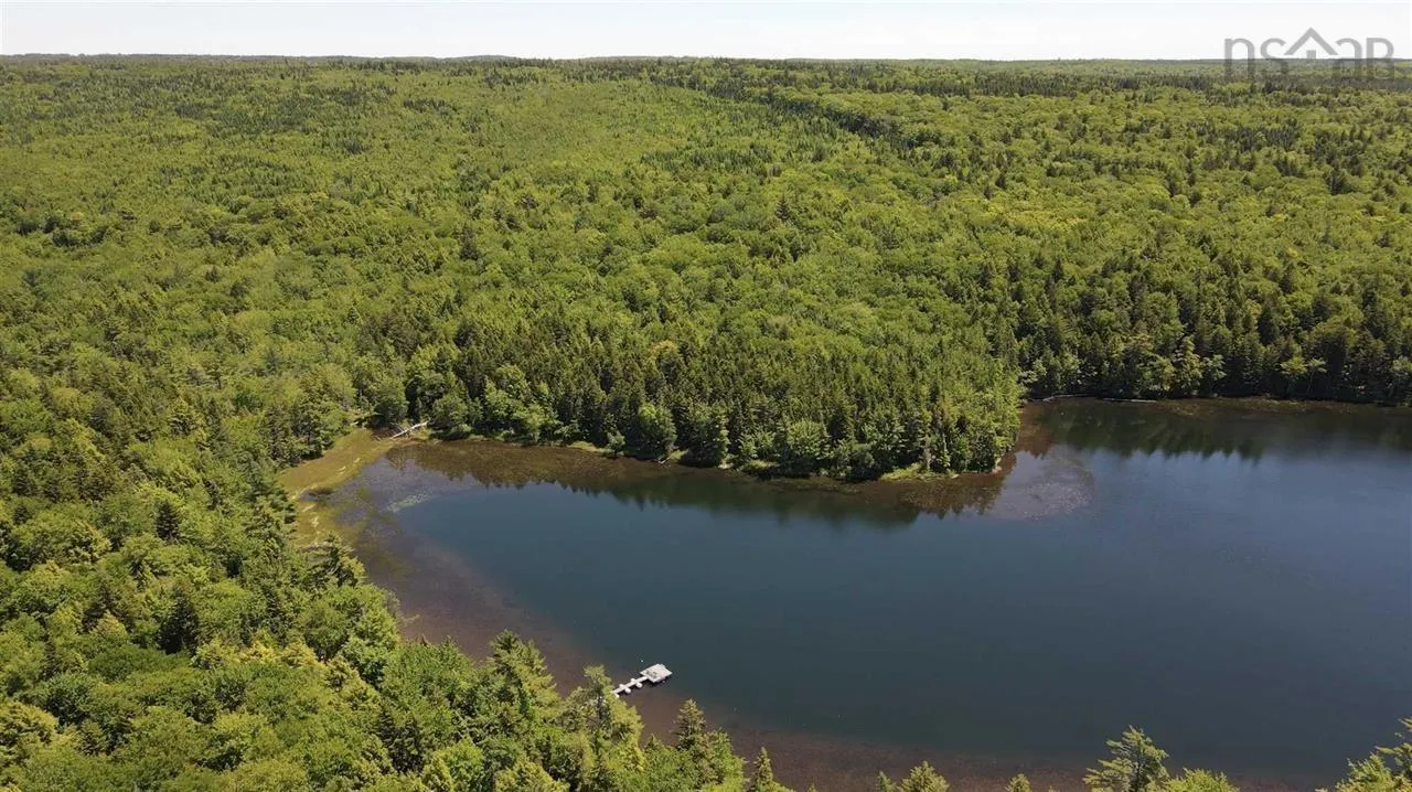 Brookvale Road, Higginsville, NS B0N 1X0, ,Land,For Sale,Brookvale,202522849