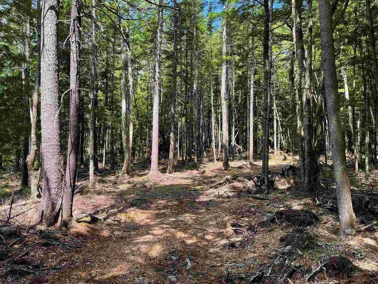 Brookvale Road, Higginsville, NS B0N 1X0, ,Land,For Sale,Brookvale,202522849