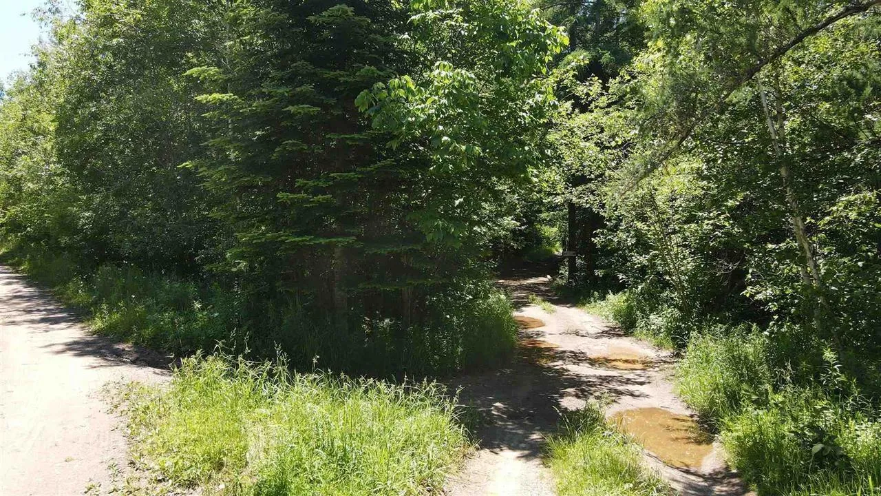 Brookvale Road, Higginsville, NS B0N 1X0, ,Land,For Sale,Brookvale,202522849