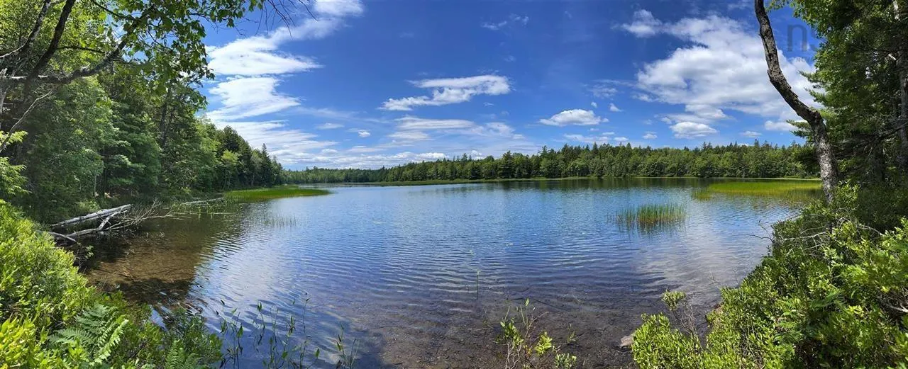 Brookvale Road, Higginsville, NS B0N 1X0, ,Land,For Sale,Brookvale,202522849
