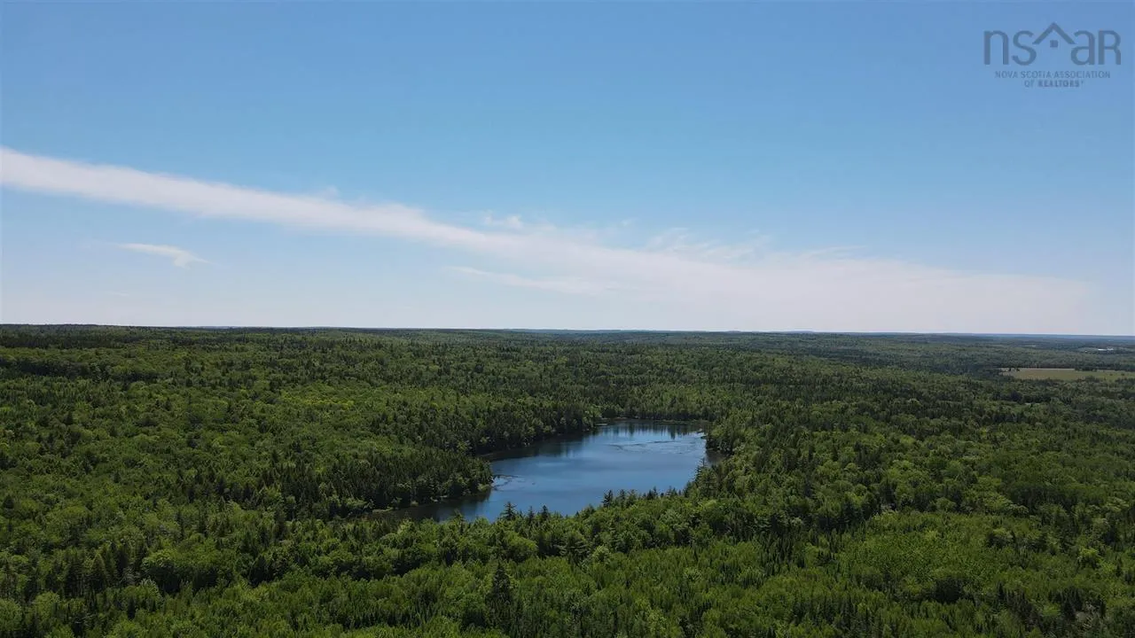 Brookvale Road, Higginsville, NS B0N 1X0, ,Land,For Sale,Brookvale,202522849