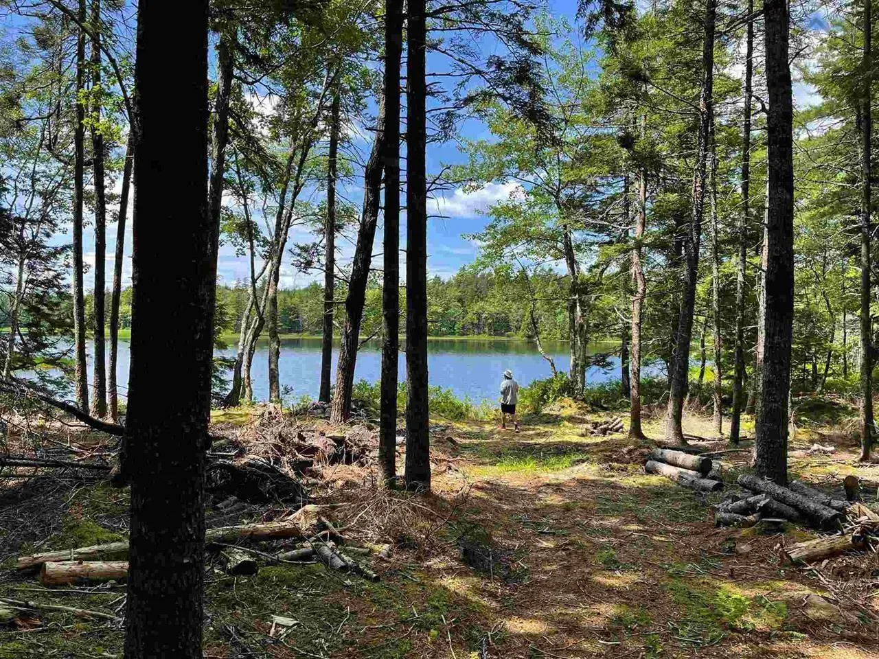 Brookvale Road, Higginsville, NS B0N 1X0, ,Land,For Sale,Brookvale,202522849