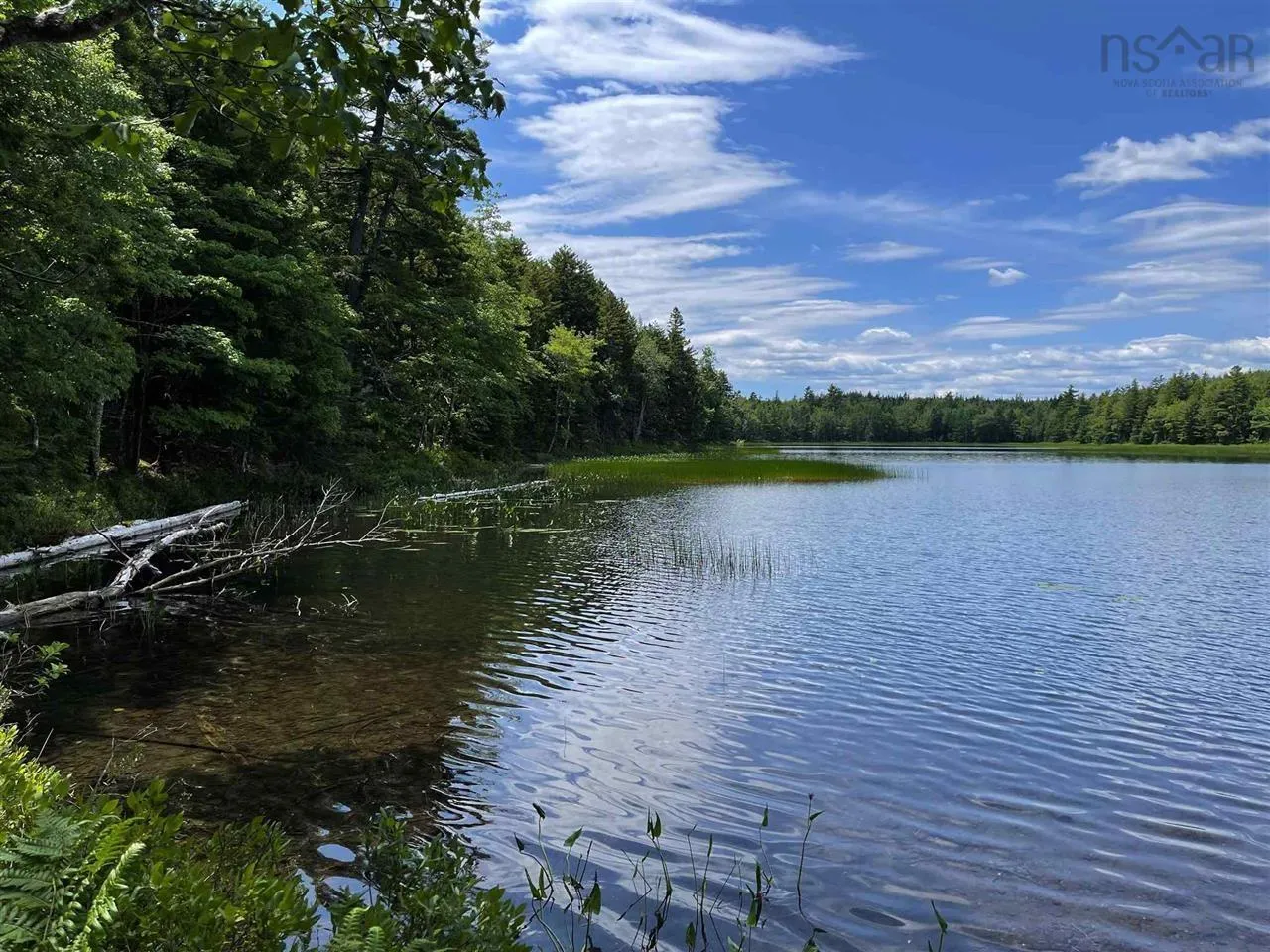 Brookvale Road, Higginsville, NS B0N 1X0, ,Land,For Sale,Brookvale,202522849