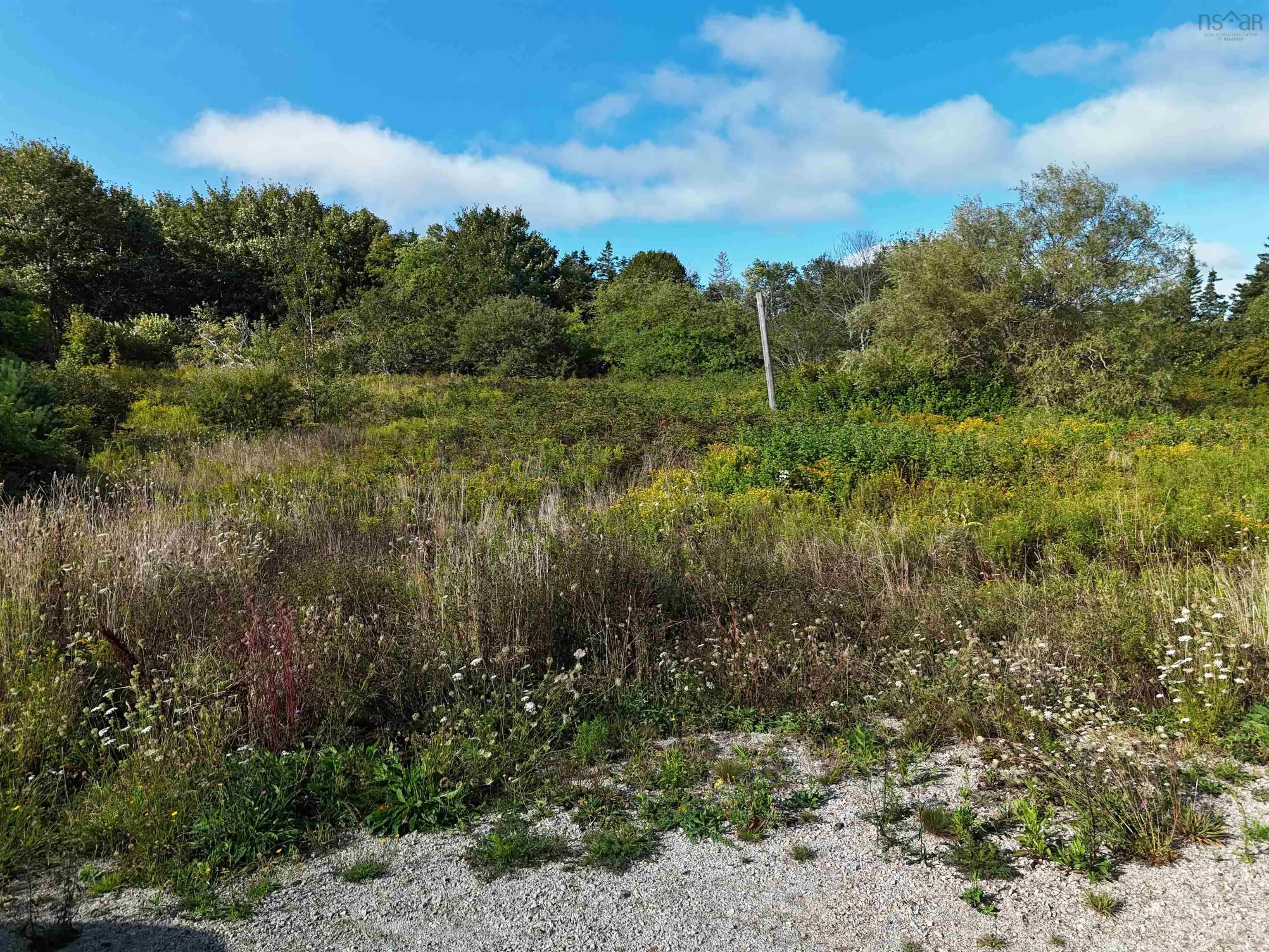 1509 Highway 308, Surettes Island, NS B0W 3M0, ,Land,For Sale,Highway 308,202523183