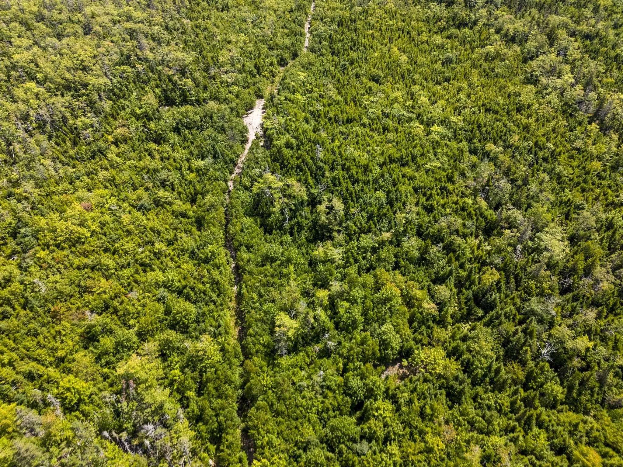 166 Hillside Drive, Boutiliers Point, NS B3Z 1W8, ,Land,For Sale,Hillside,202521596