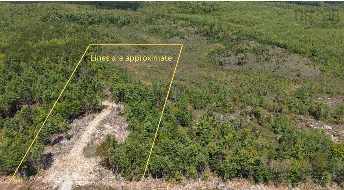 310 Welshtown Road, Welshtown, NS B0T 1W0, ,Land,For Sale,Welshtown,202513382
