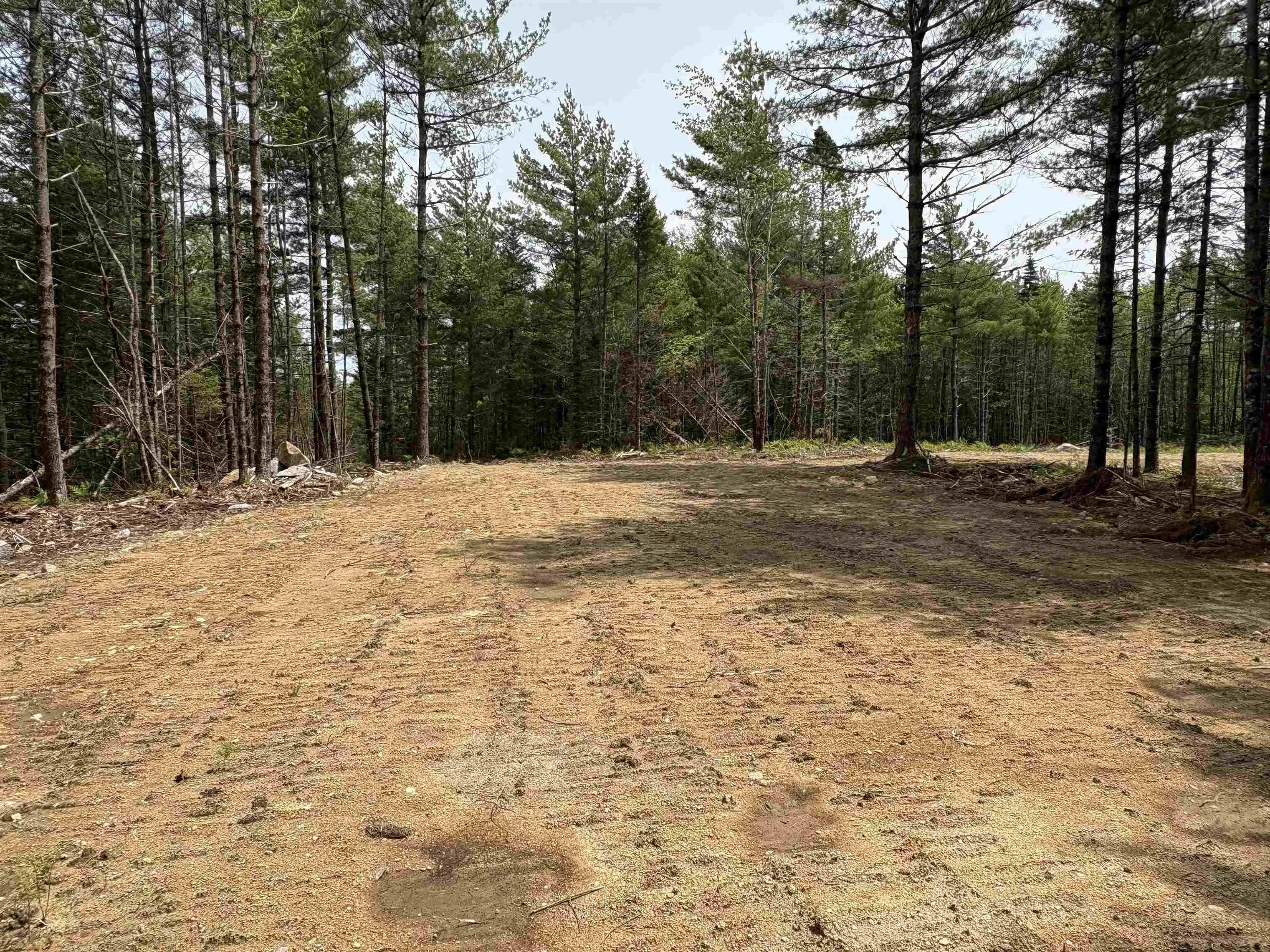310 Welshtown Road, Welshtown, NS B0T 1W0, ,Land,For Sale,Welshtown,202513382