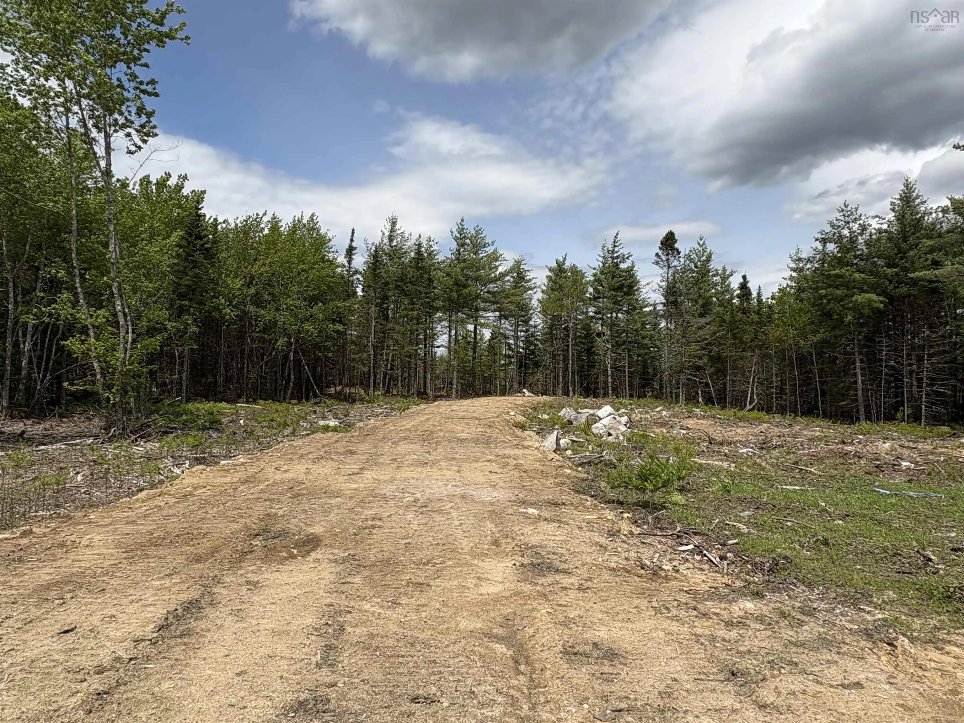 310 Welshtown Road, Welshtown, NS B0T 1W0, ,Land,For Sale,Welshtown,202513382
