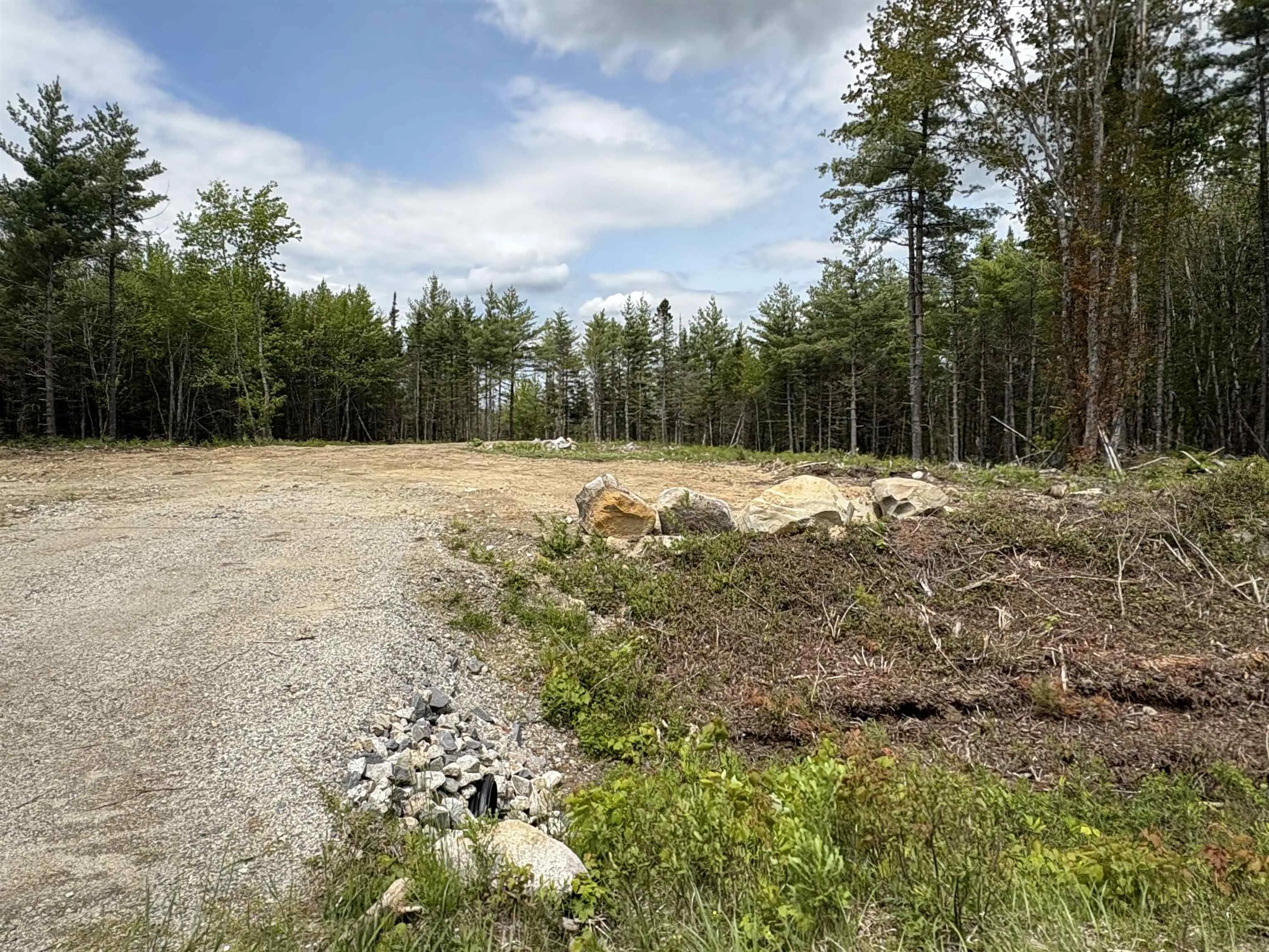 310 Welshtown Road, Welshtown, NS B0T 1W0, ,Land,For Sale,Welshtown,202513382