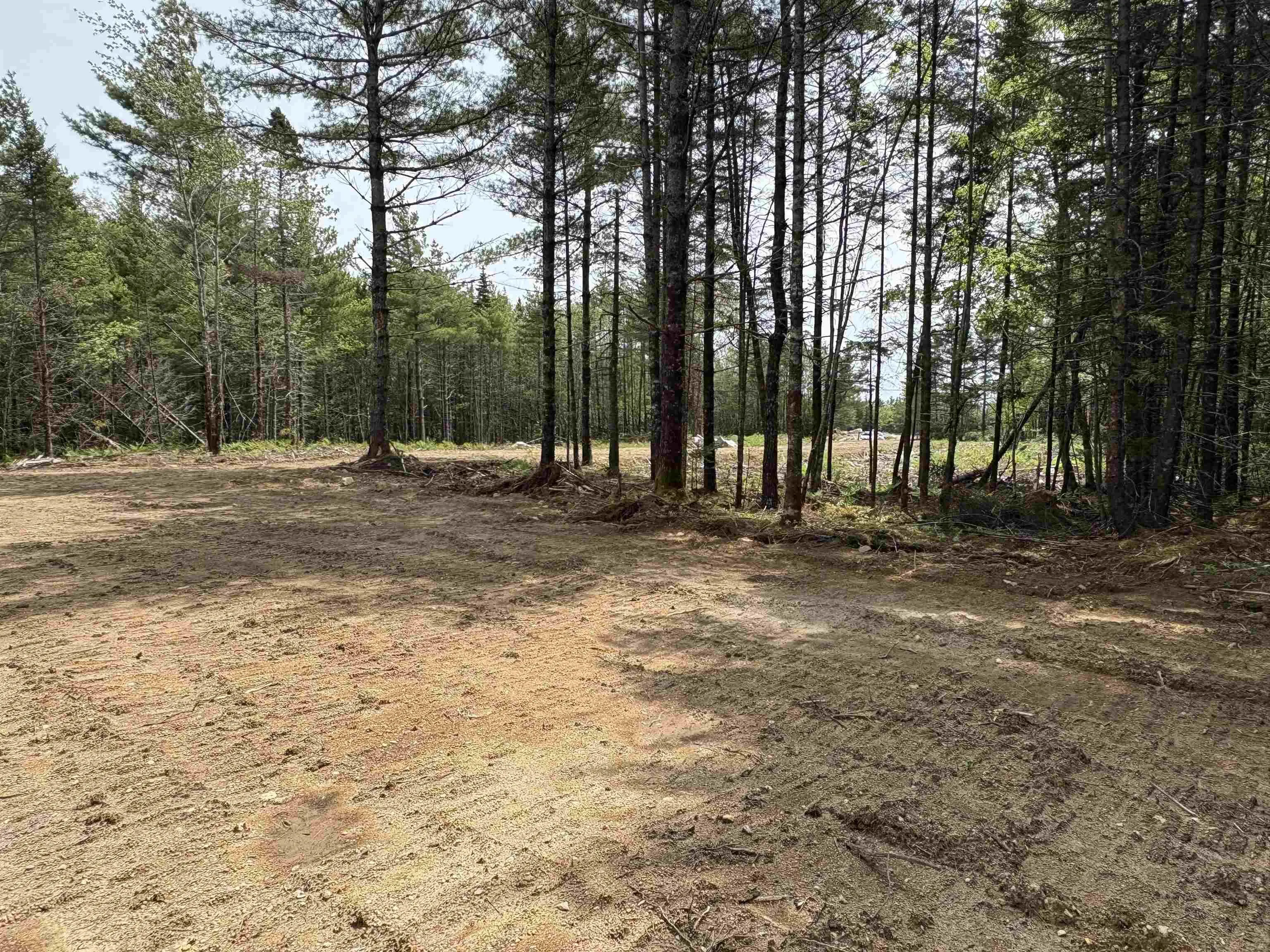 310 Welshtown Road, Welshtown, NS B0T 1W0, ,Land,For Sale,Welshtown,202513382