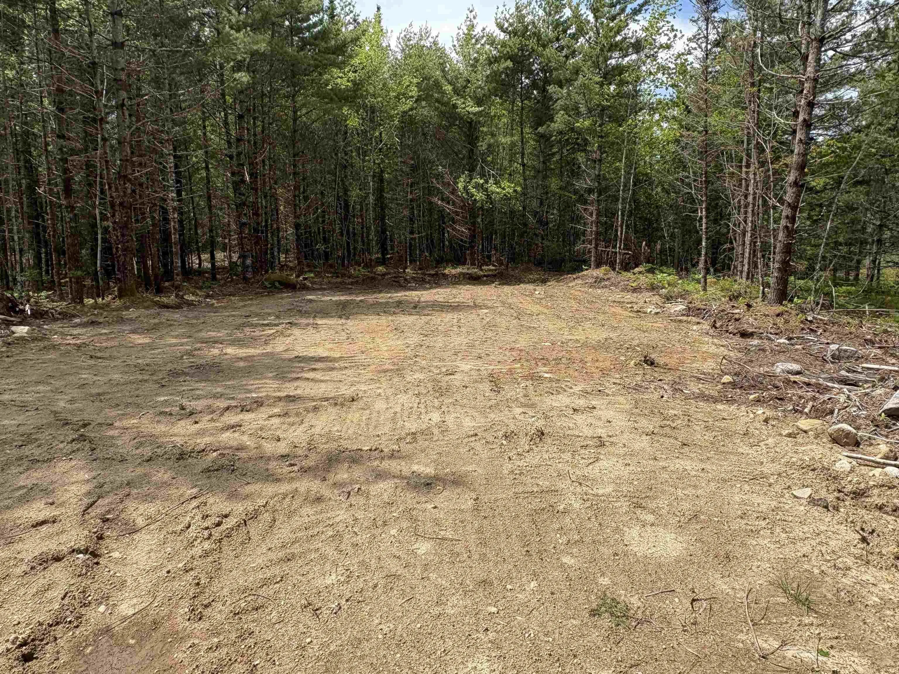 310 Welshtown Road, Welshtown, NS B0T 1W0, ,Land,For Sale,Welshtown,202513382
