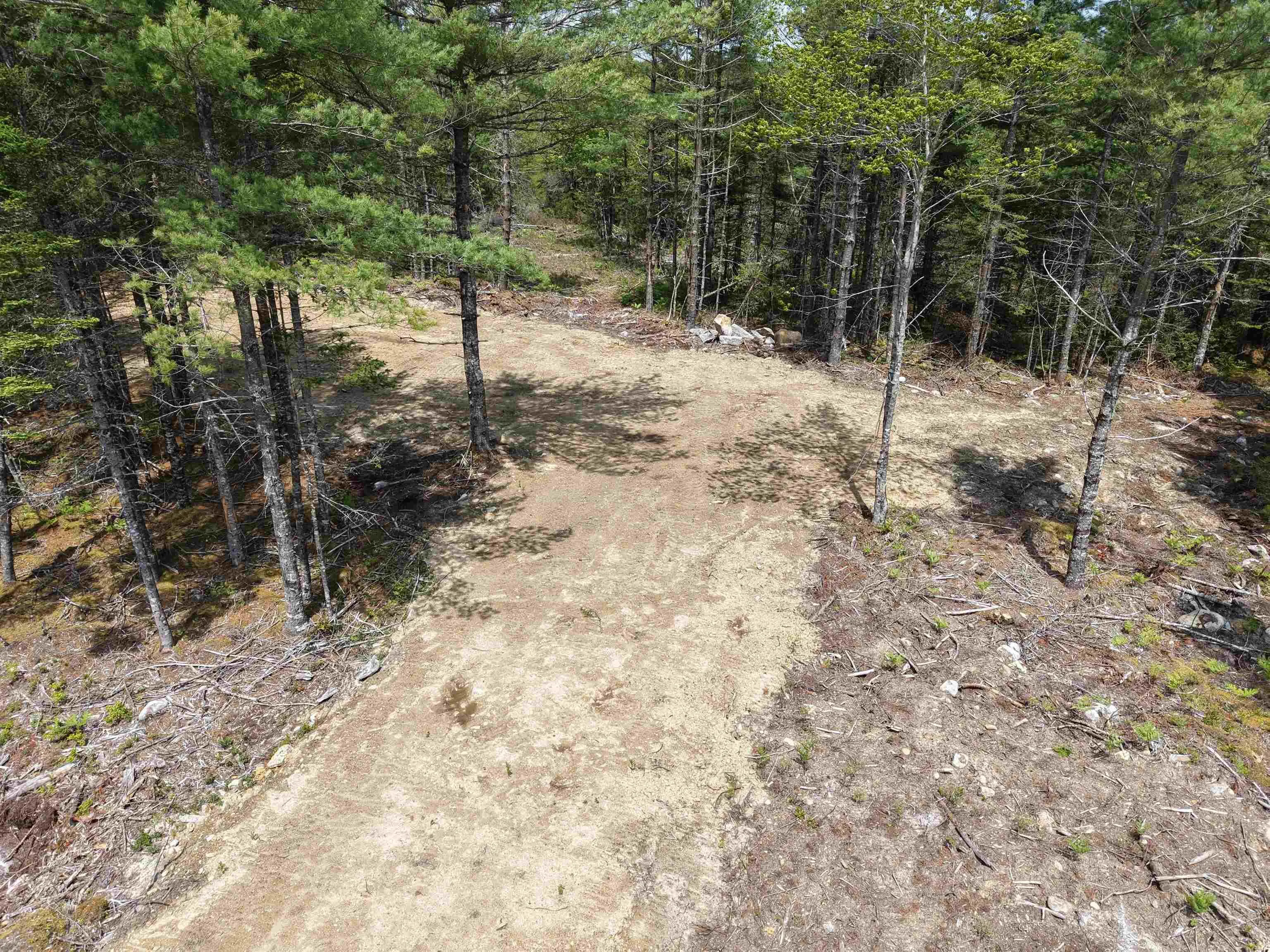 310 Welshtown Road, Welshtown, NS B0T 1W0, ,Land,For Sale,Welshtown,202513382