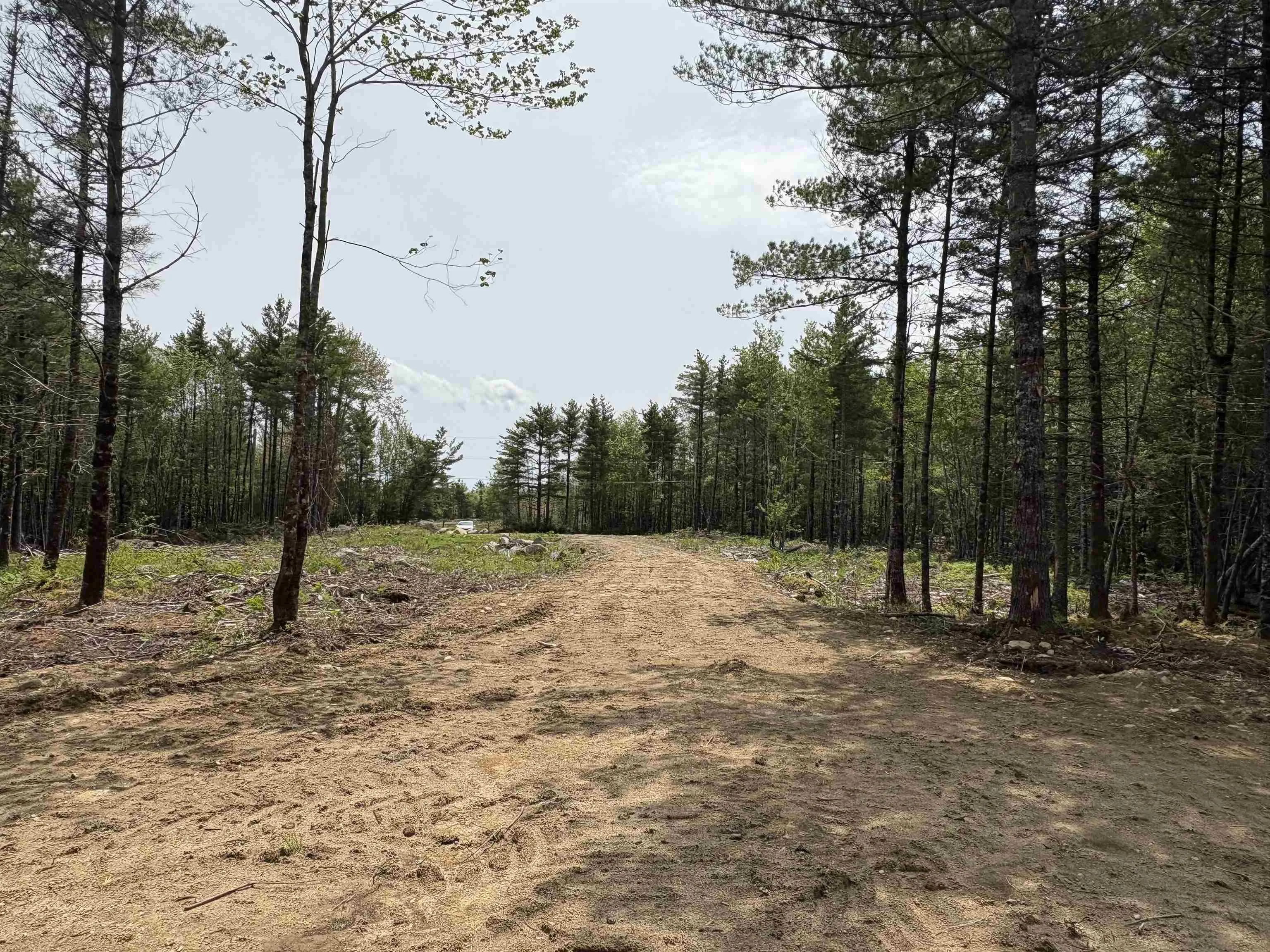 310 Welshtown Road, Welshtown, NS B0T 1W0, ,Land,For Sale,Welshtown,202513382