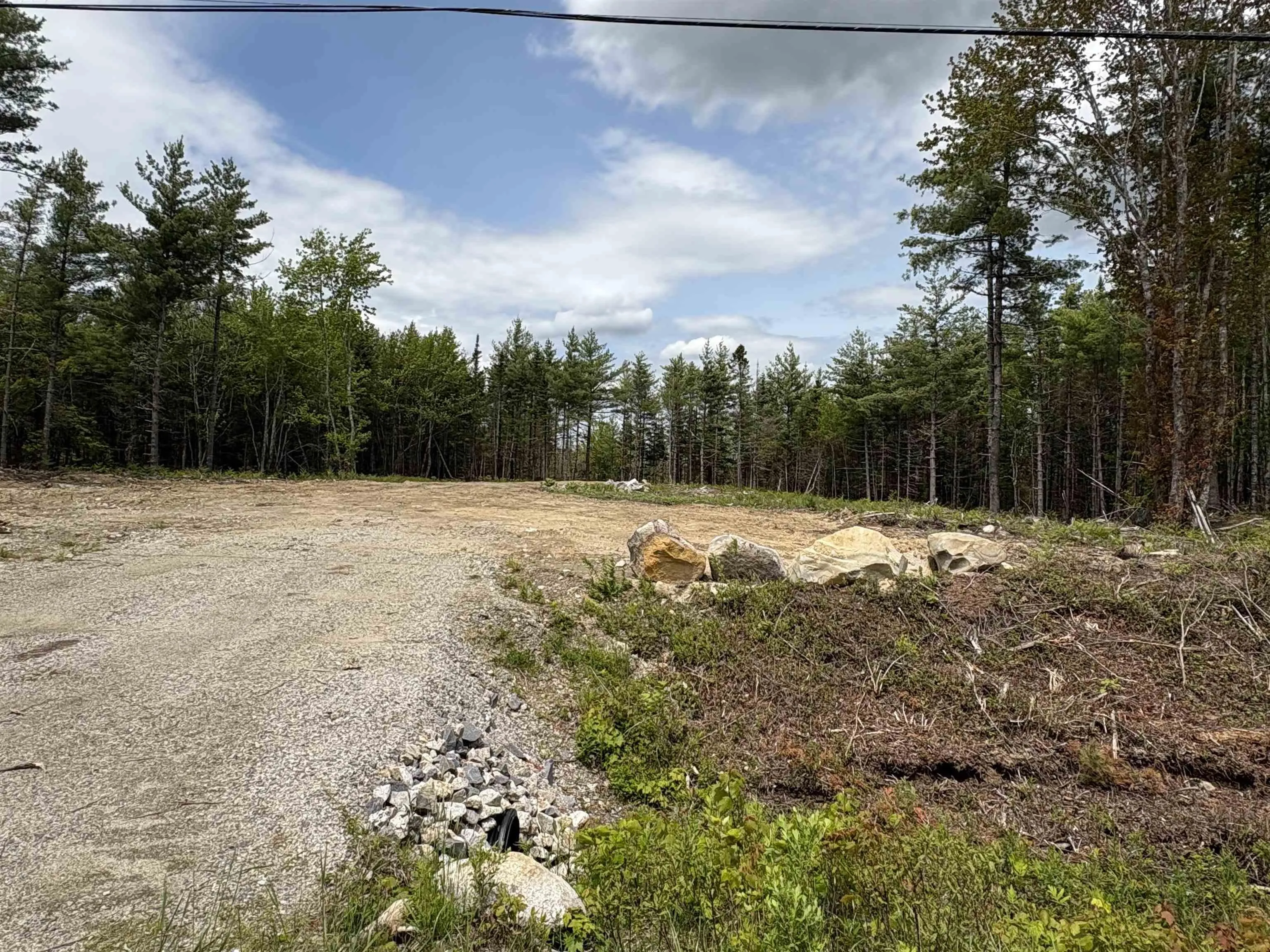 310 Welshtown Road, Welshtown, NS B0T 1W0, ,Land,For Sale,Welshtown,202513382